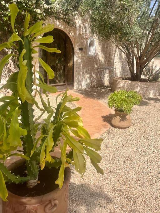 privatisation villa avec personnel inclus