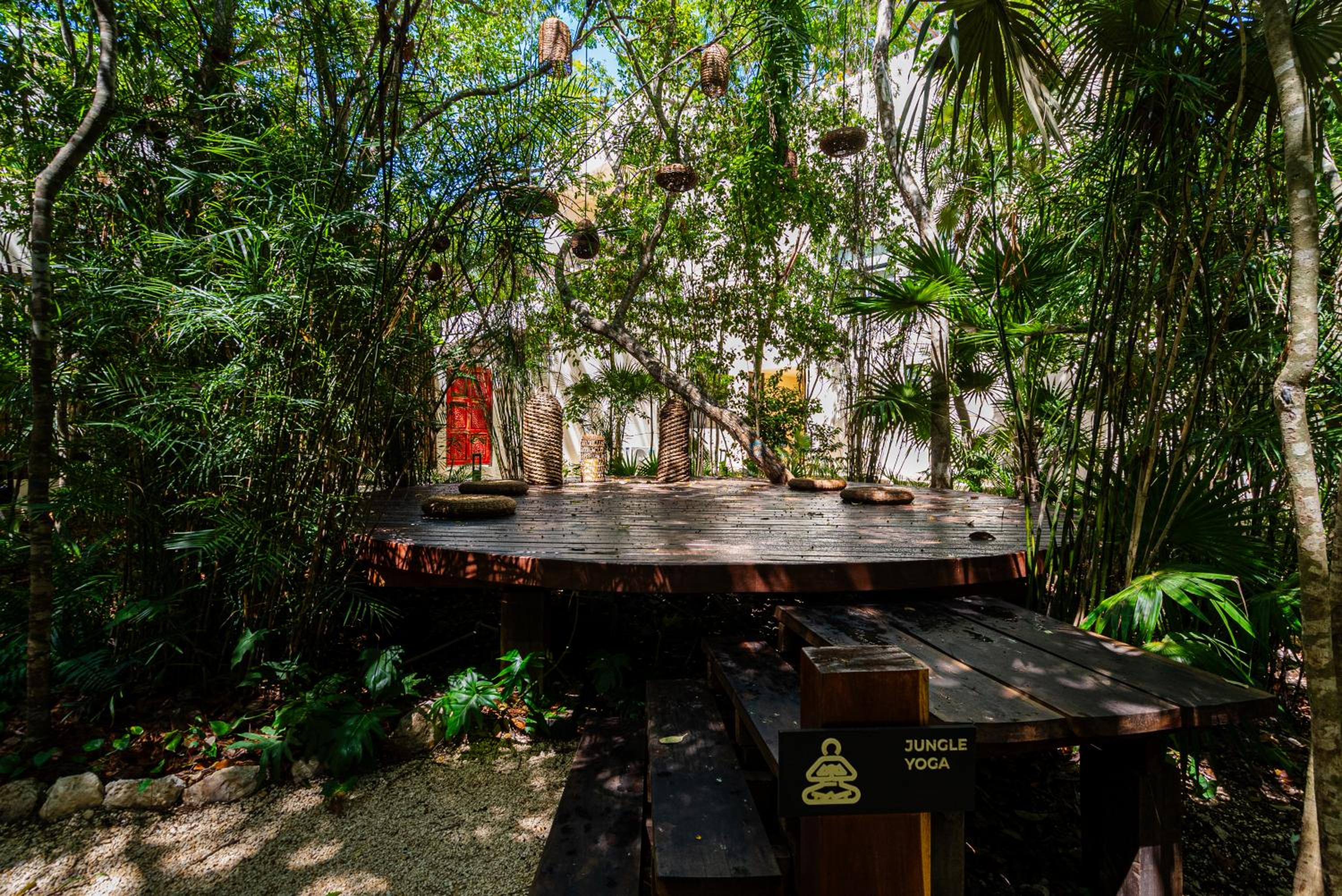Penthouse with private jungle, pool, downtown