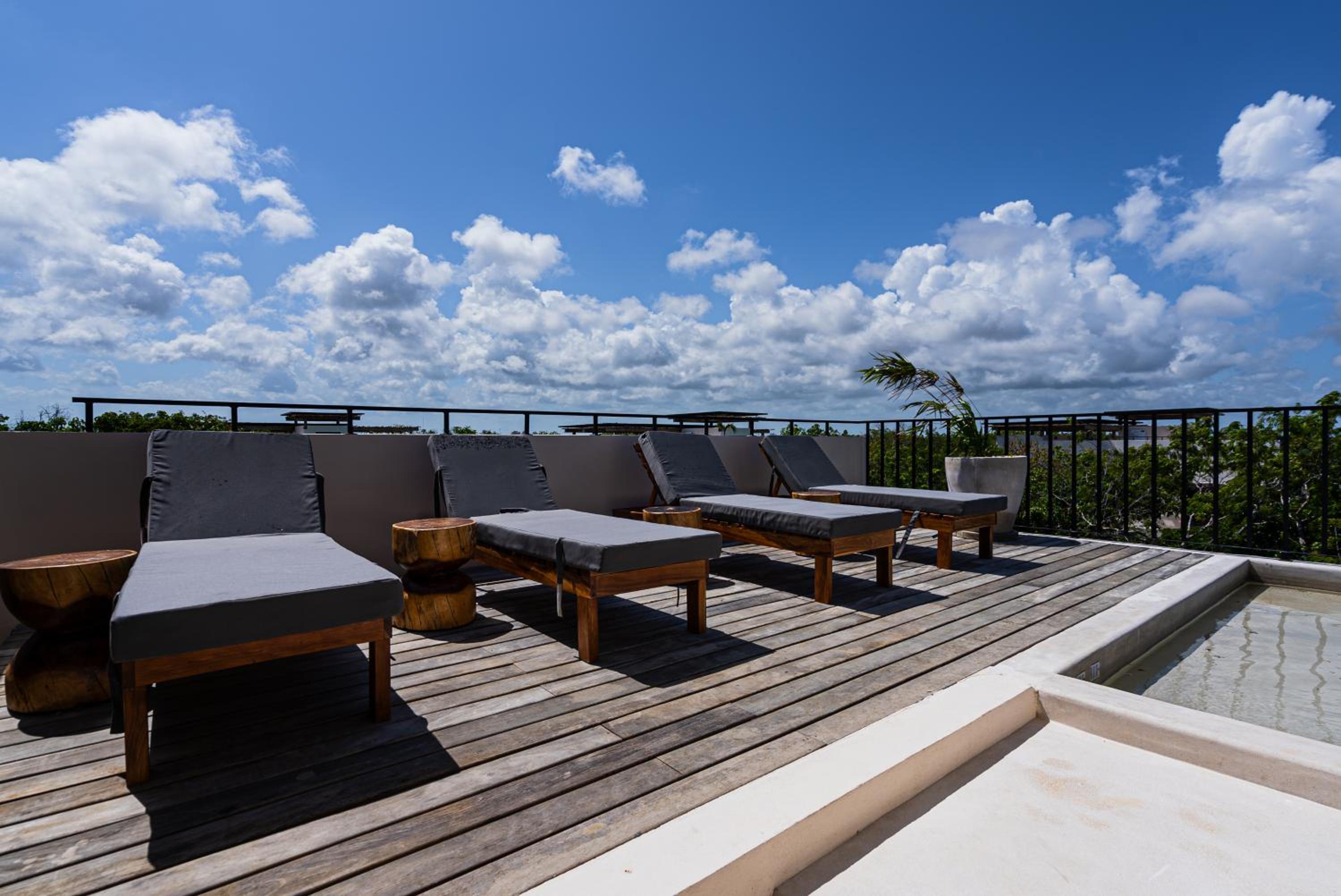 Penthouse with private jungle, pool, downtown