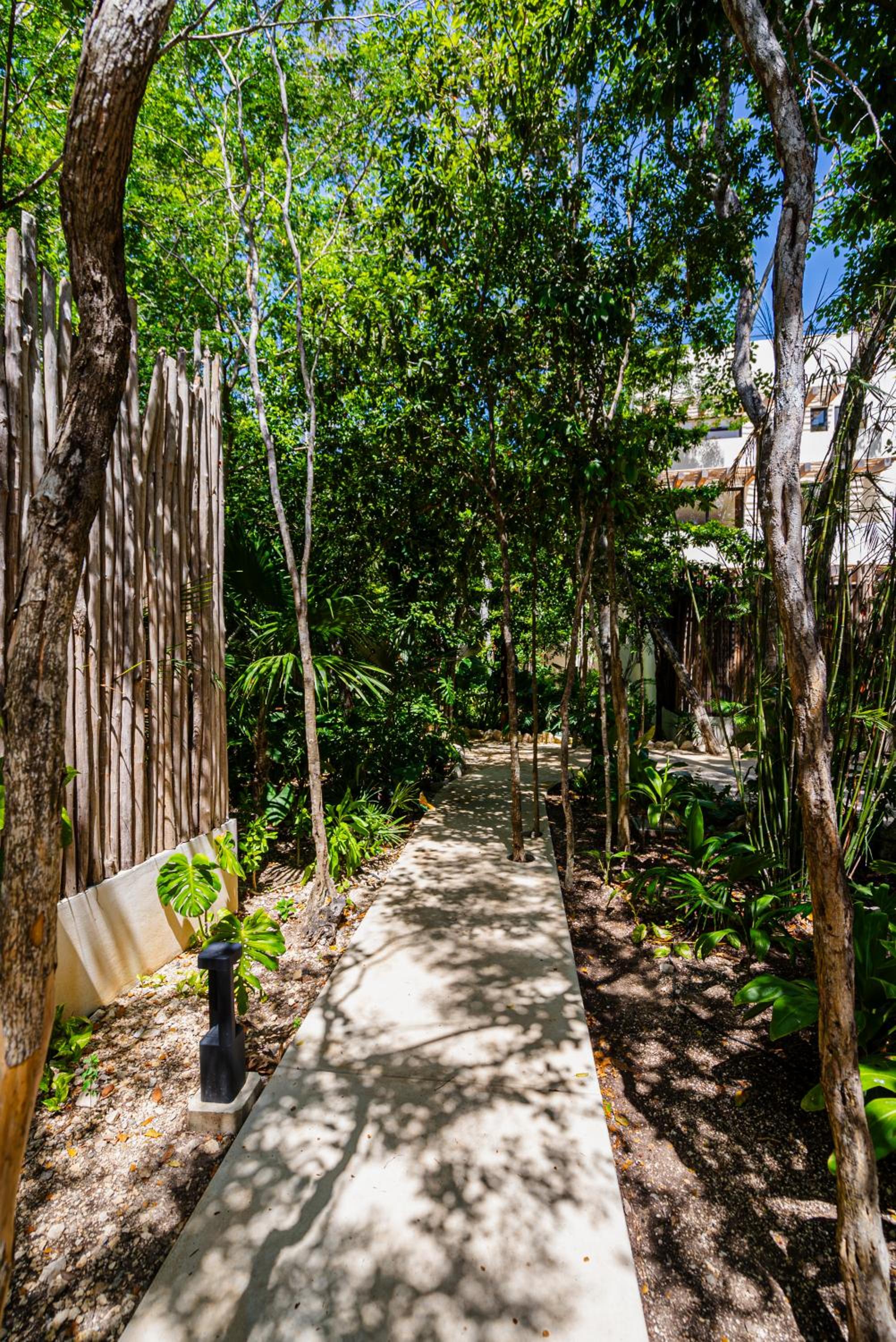 Penthouse with private jungle, pool, downtown