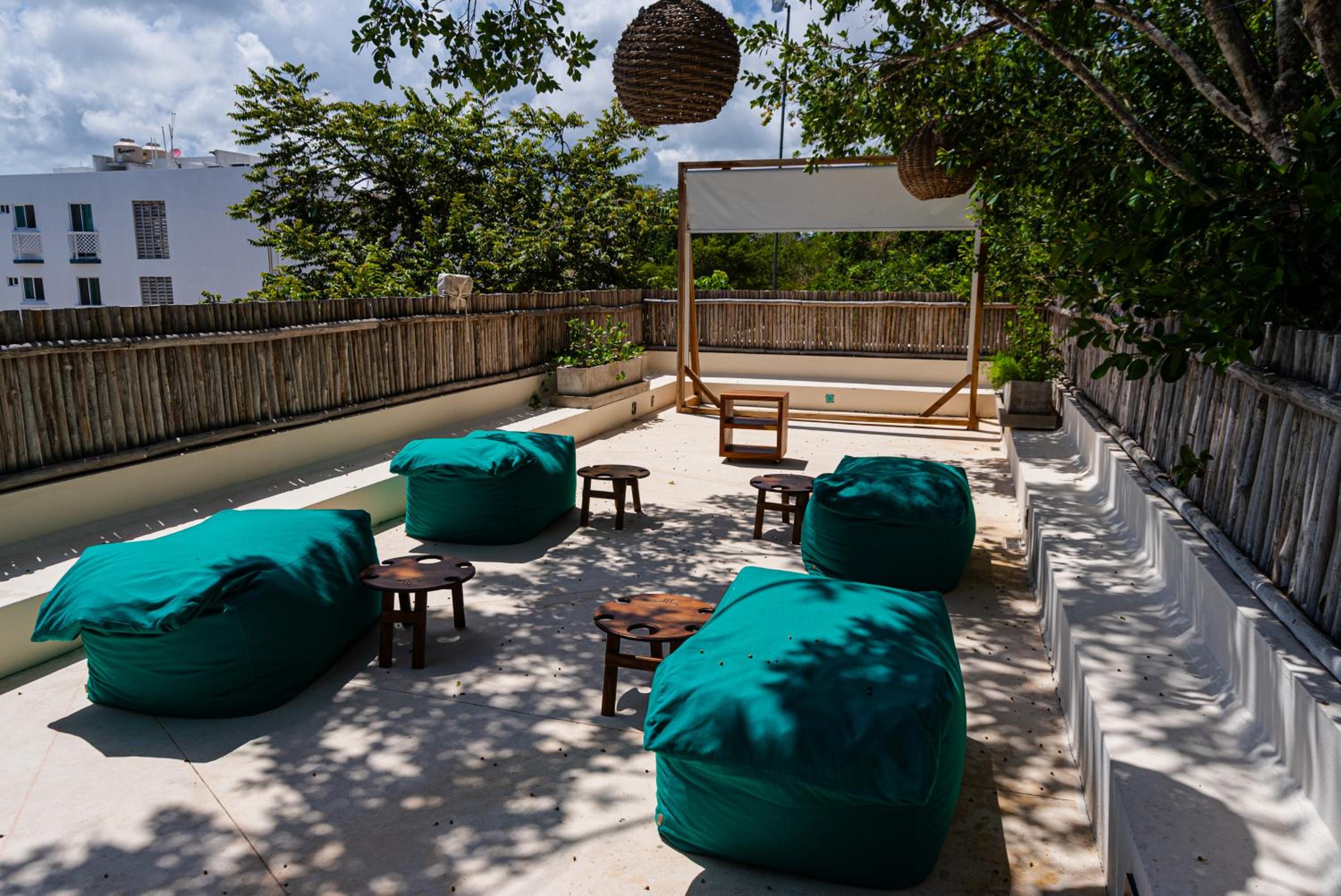 Penthouse with private jungle, pool, downtown