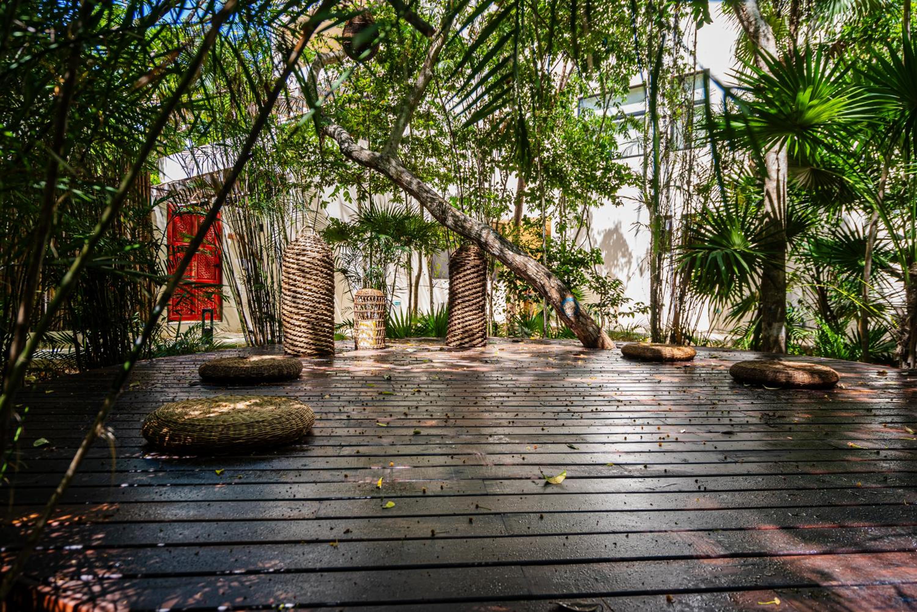 Penthouse with private jungle, pool, downtown