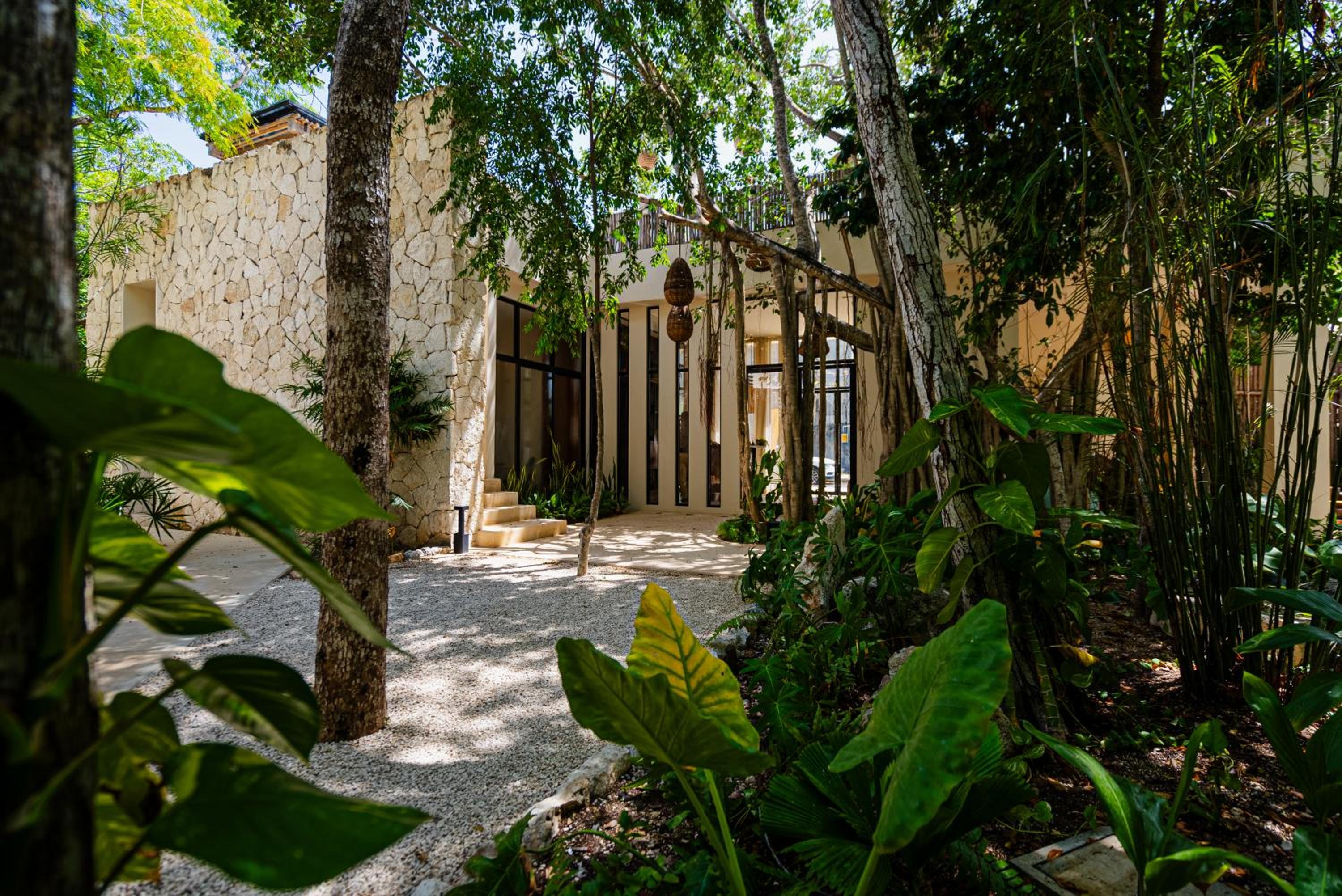 Penthouse with private jungle, pool, downtown