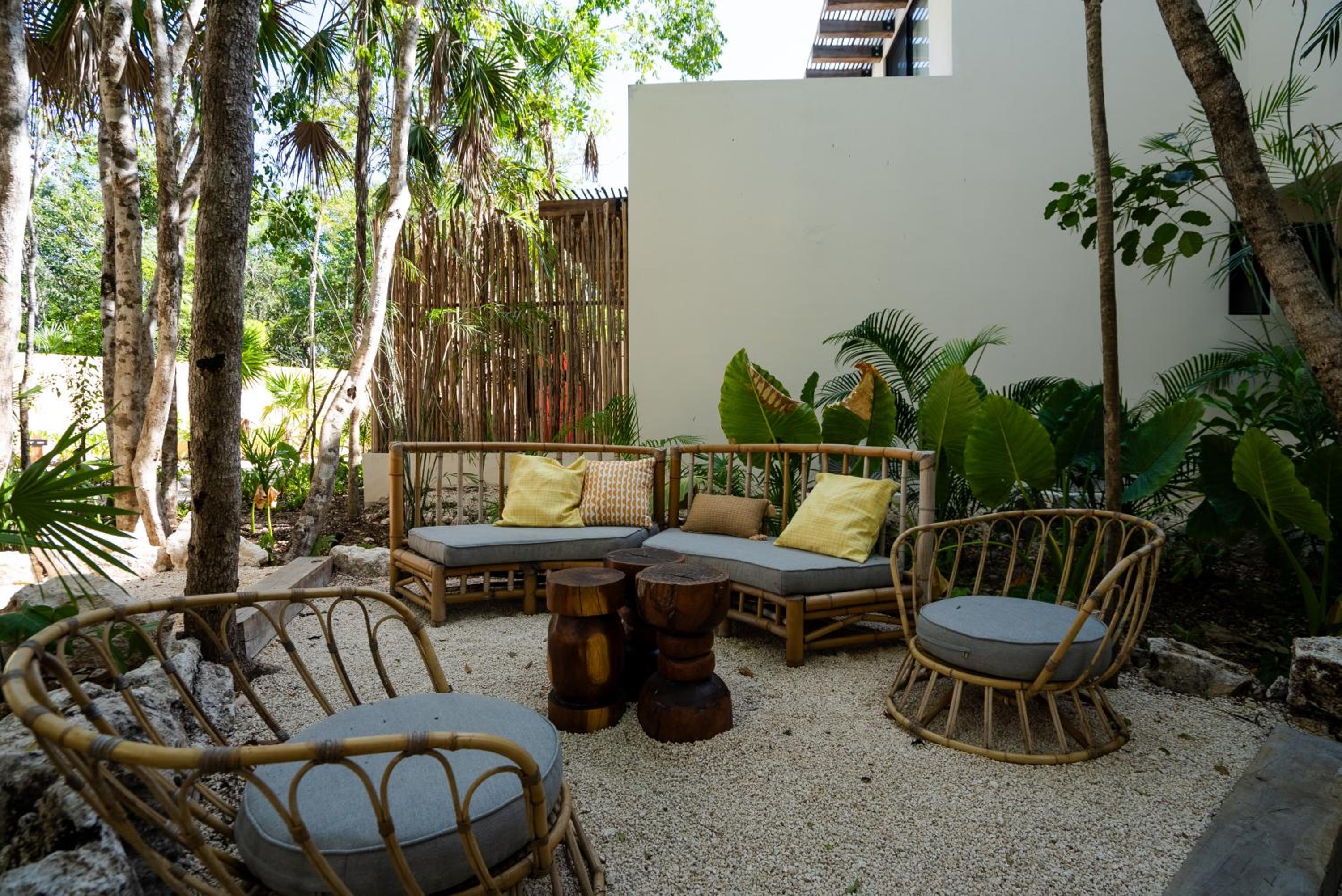Penthouse with private jungle, pool, downtown