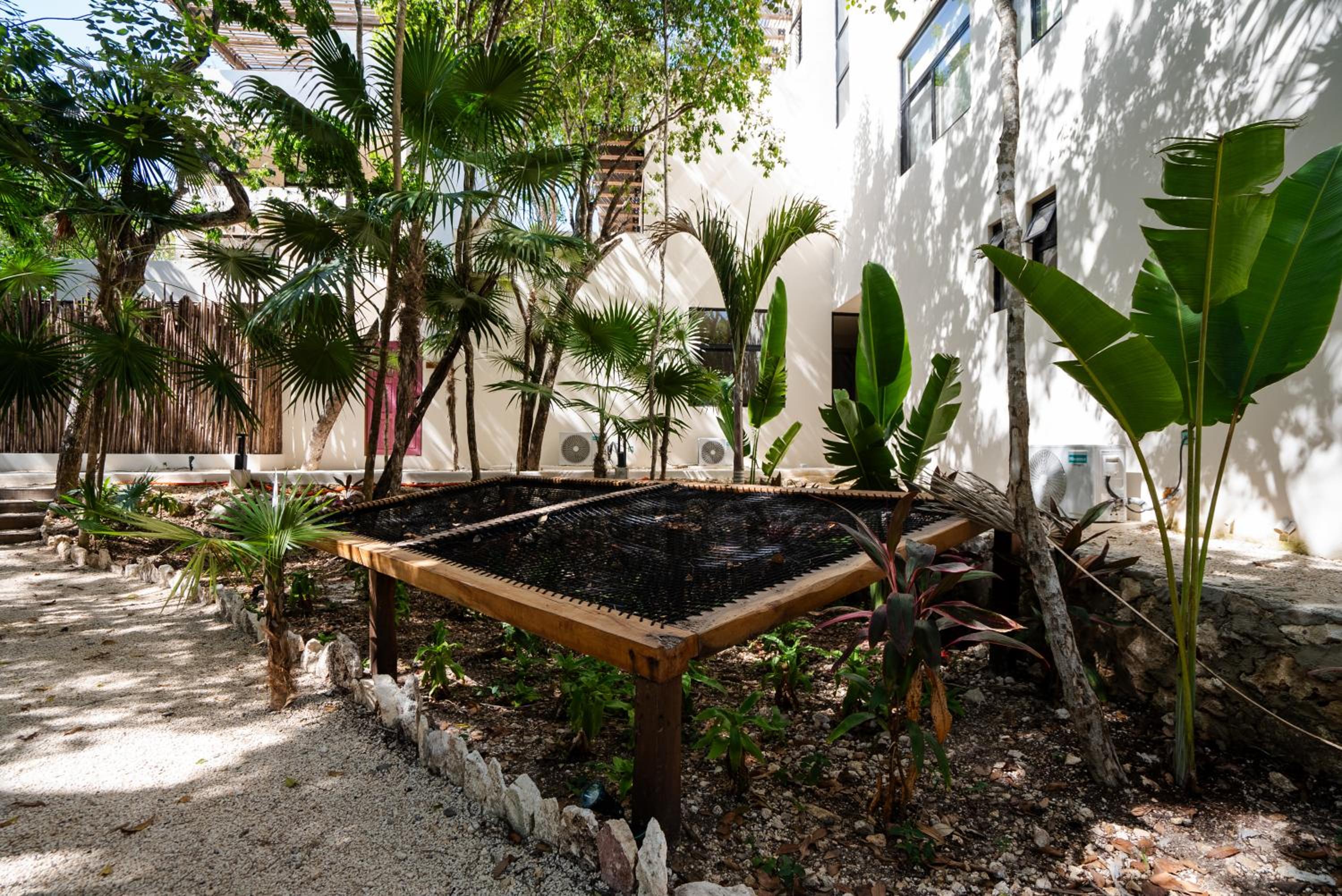 Penthouse with private jungle, pool, downtown