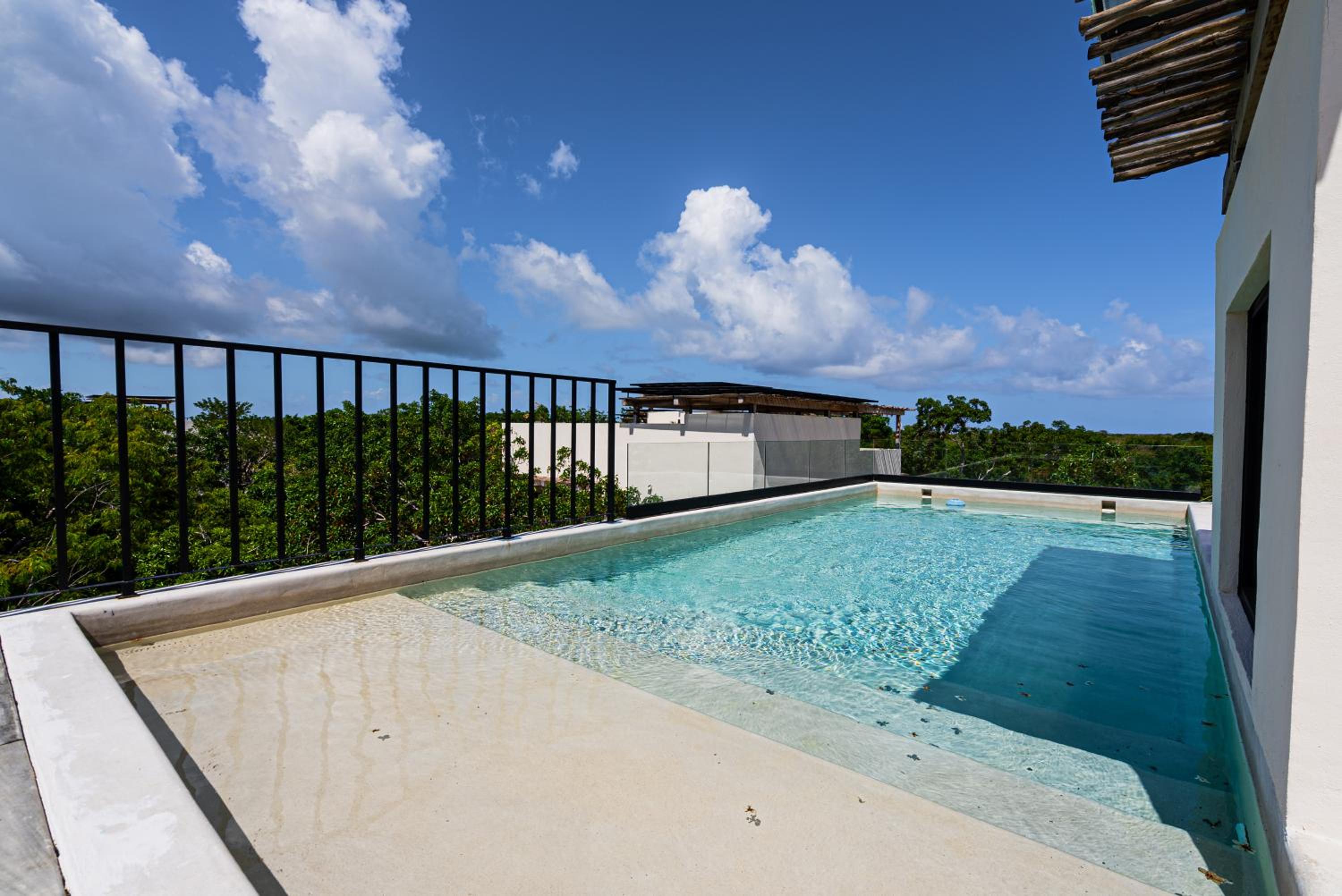 Penthouse with private jungle, pool, downtown