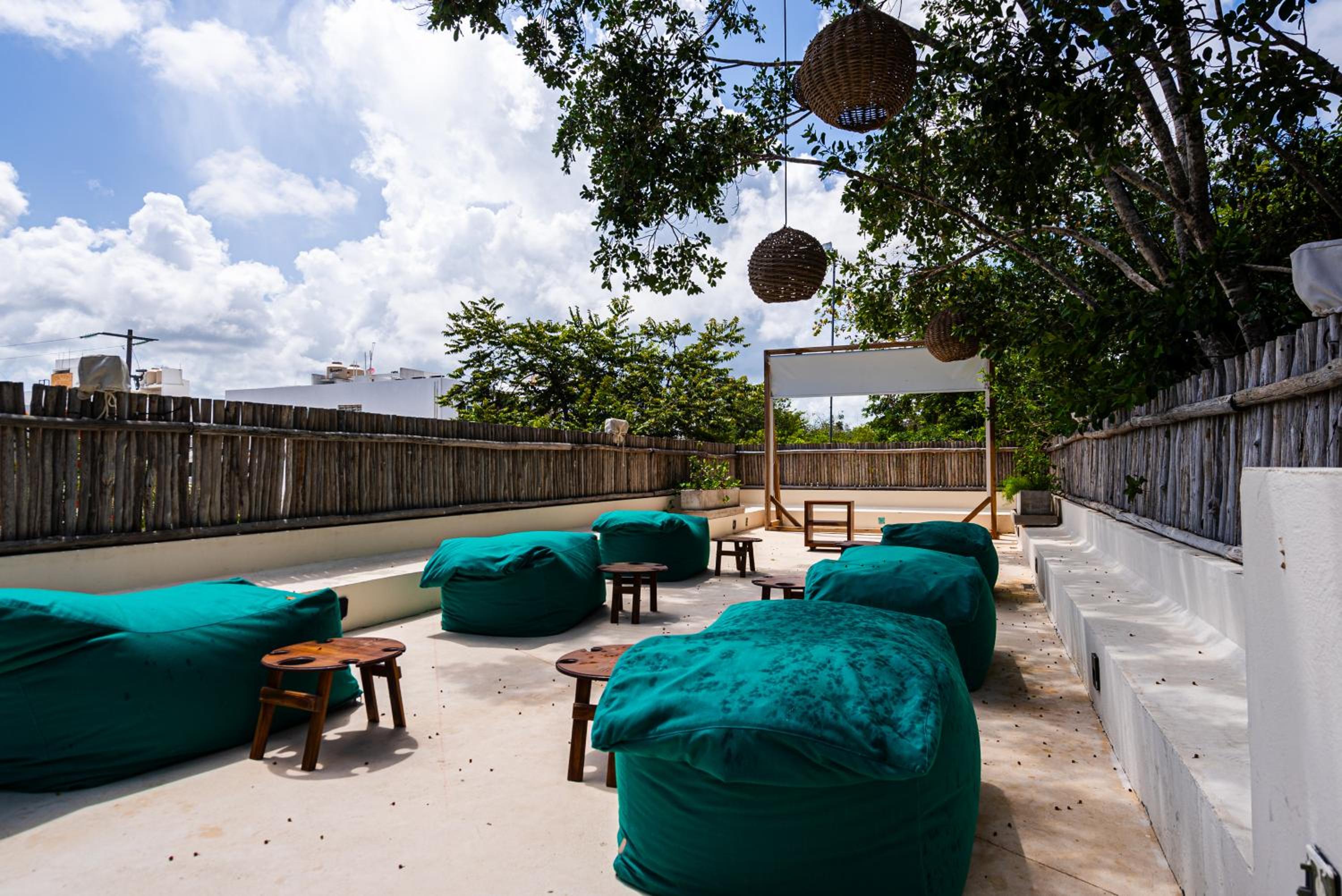 Penthouse with private jungle, pool, downtown