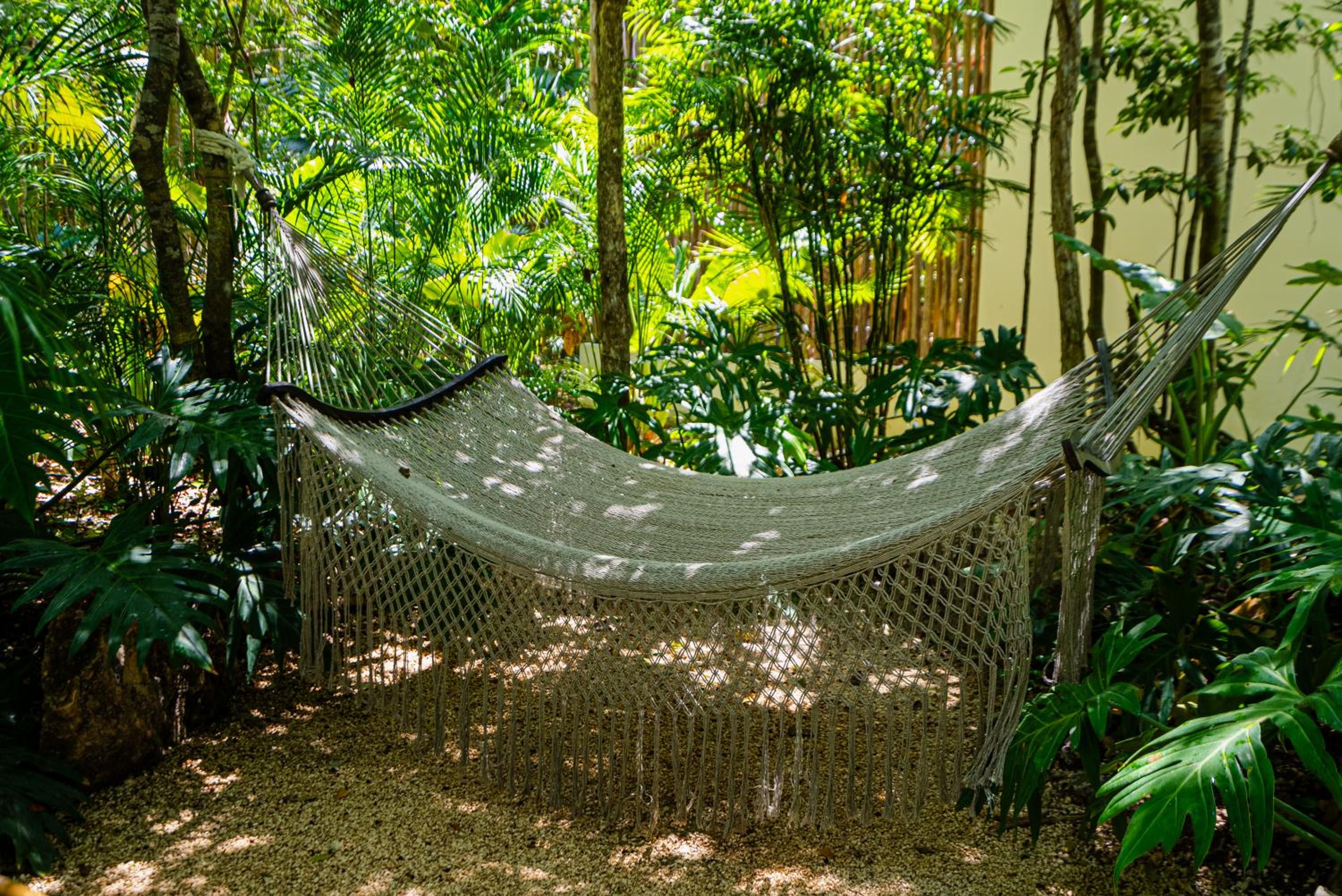 Penthouse with private jungle, pool, downtown