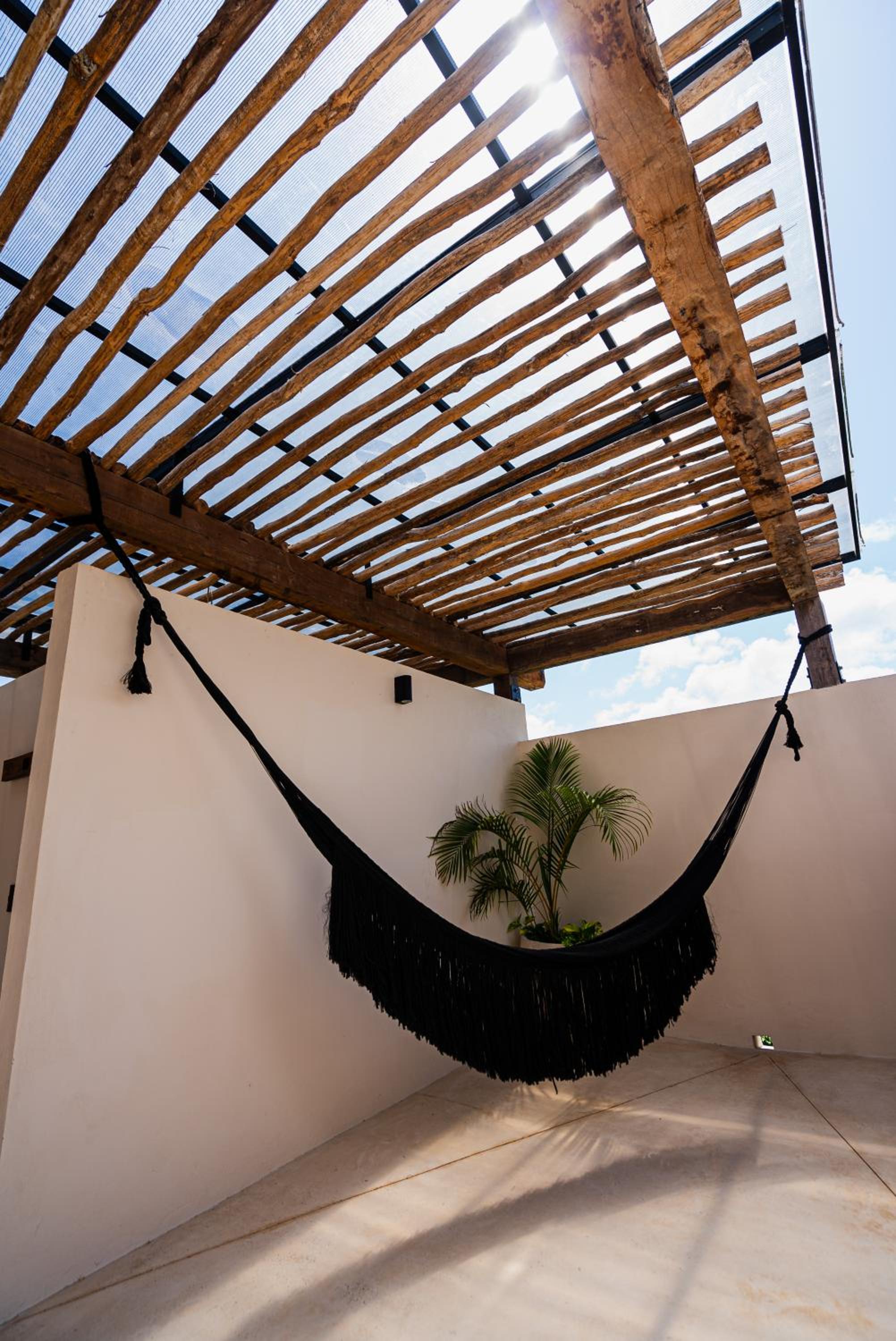 Penthouse with private jungle, pool, downtown