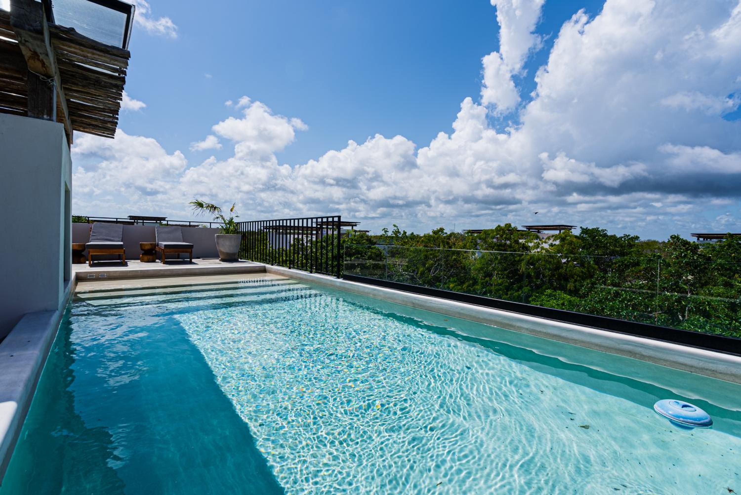 Penthouse with private jungle, pool, downtown