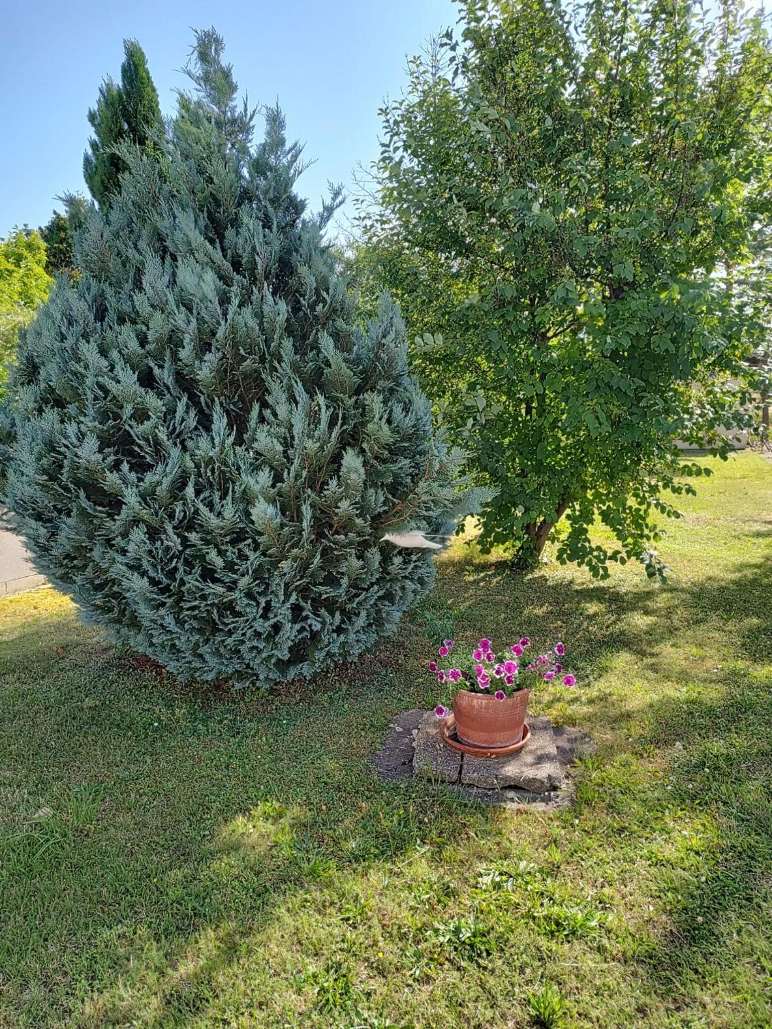 Apartment Anna - Austrian country house in Marchfeld im Weinviertel