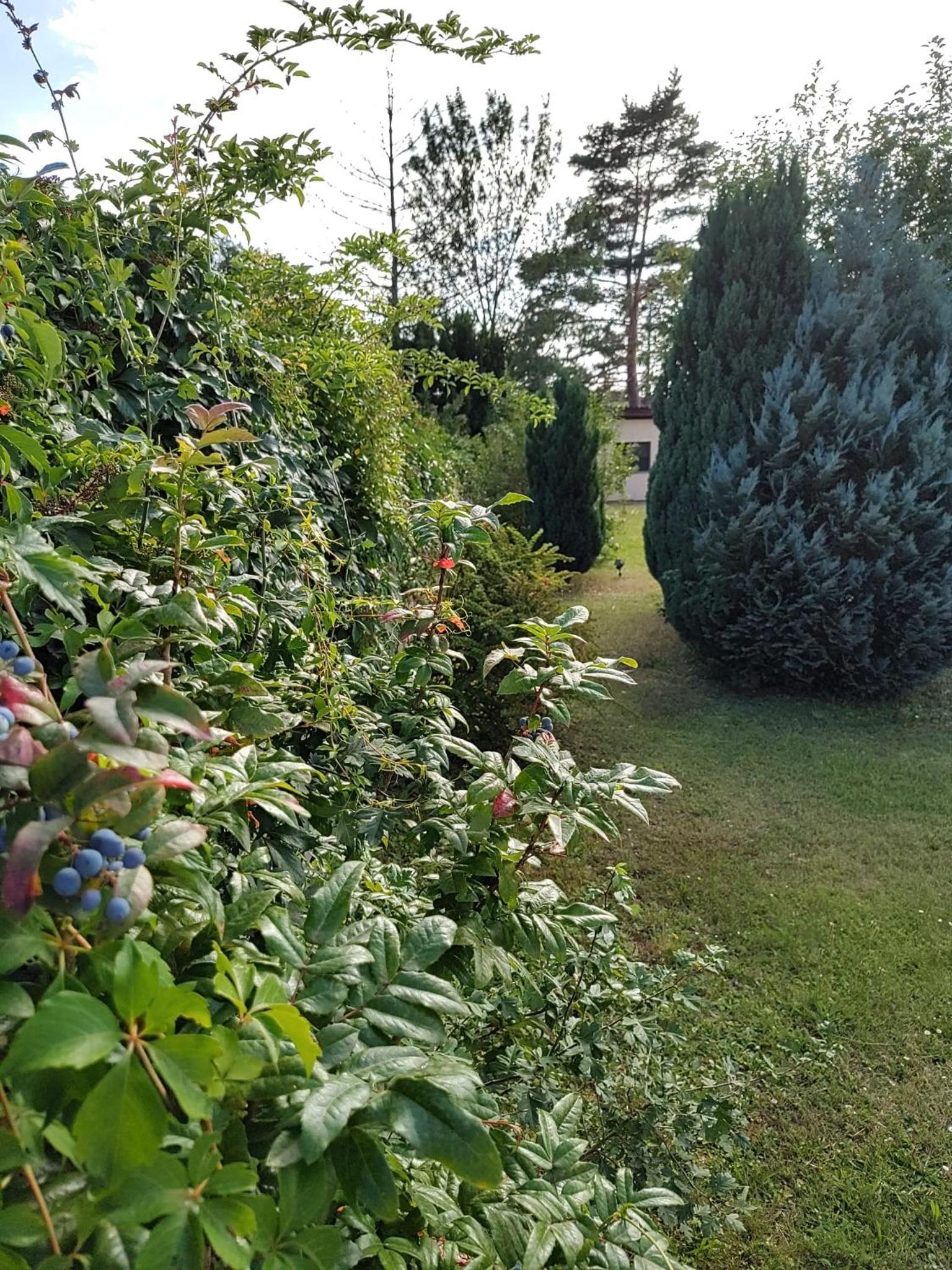 Apartment Anna - Austrian country house in Marchfeld im Weinviertel