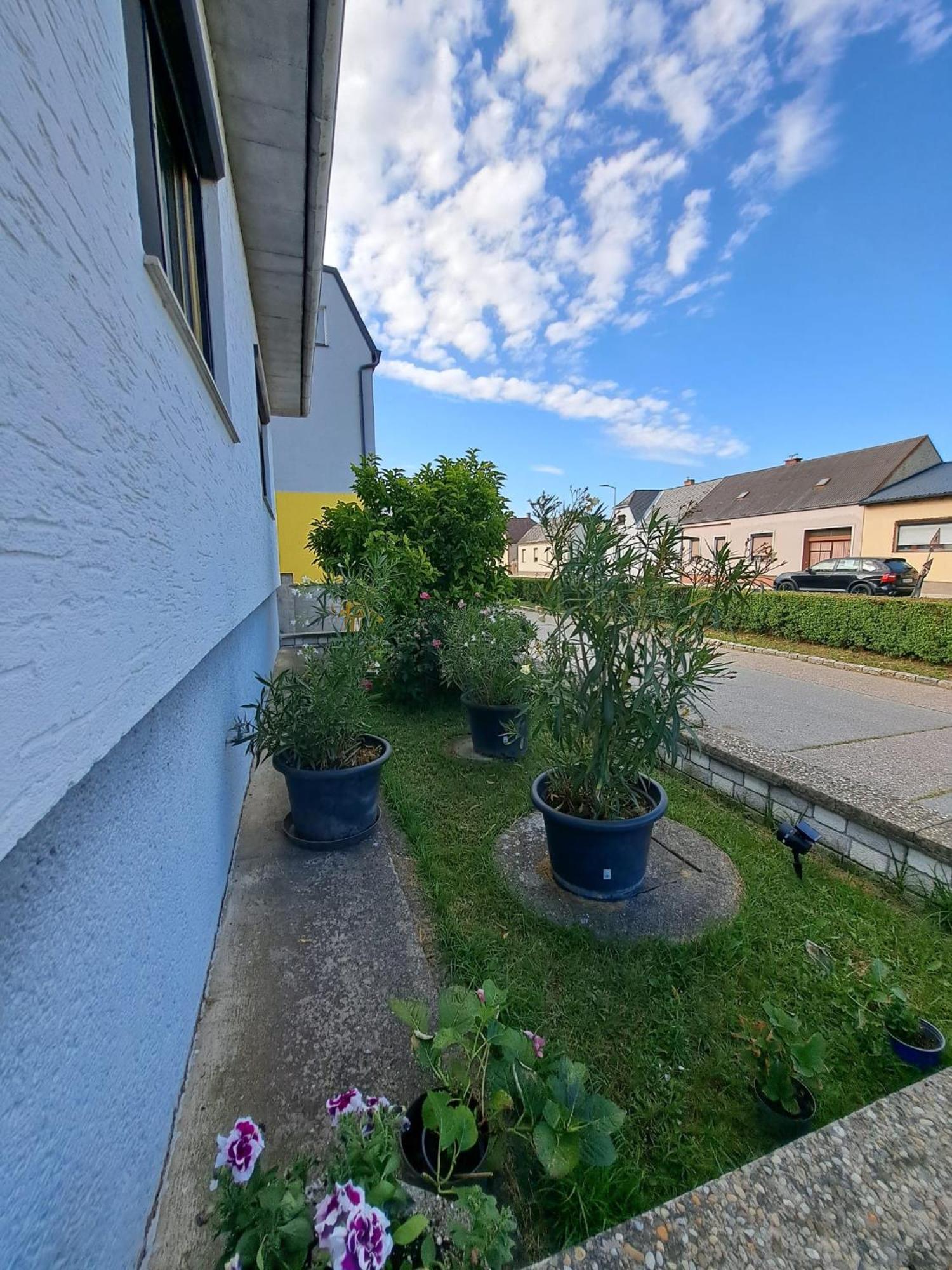 Apartment Anna - Austrian country house in Marchfeld im Weinviertel