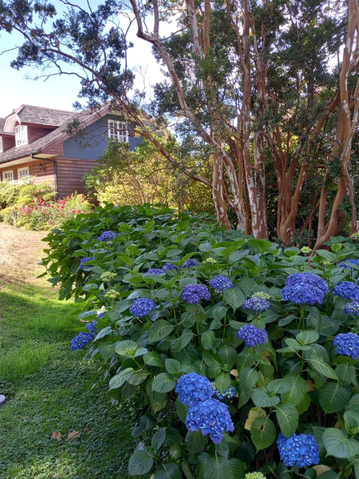 Casa KASCHEL