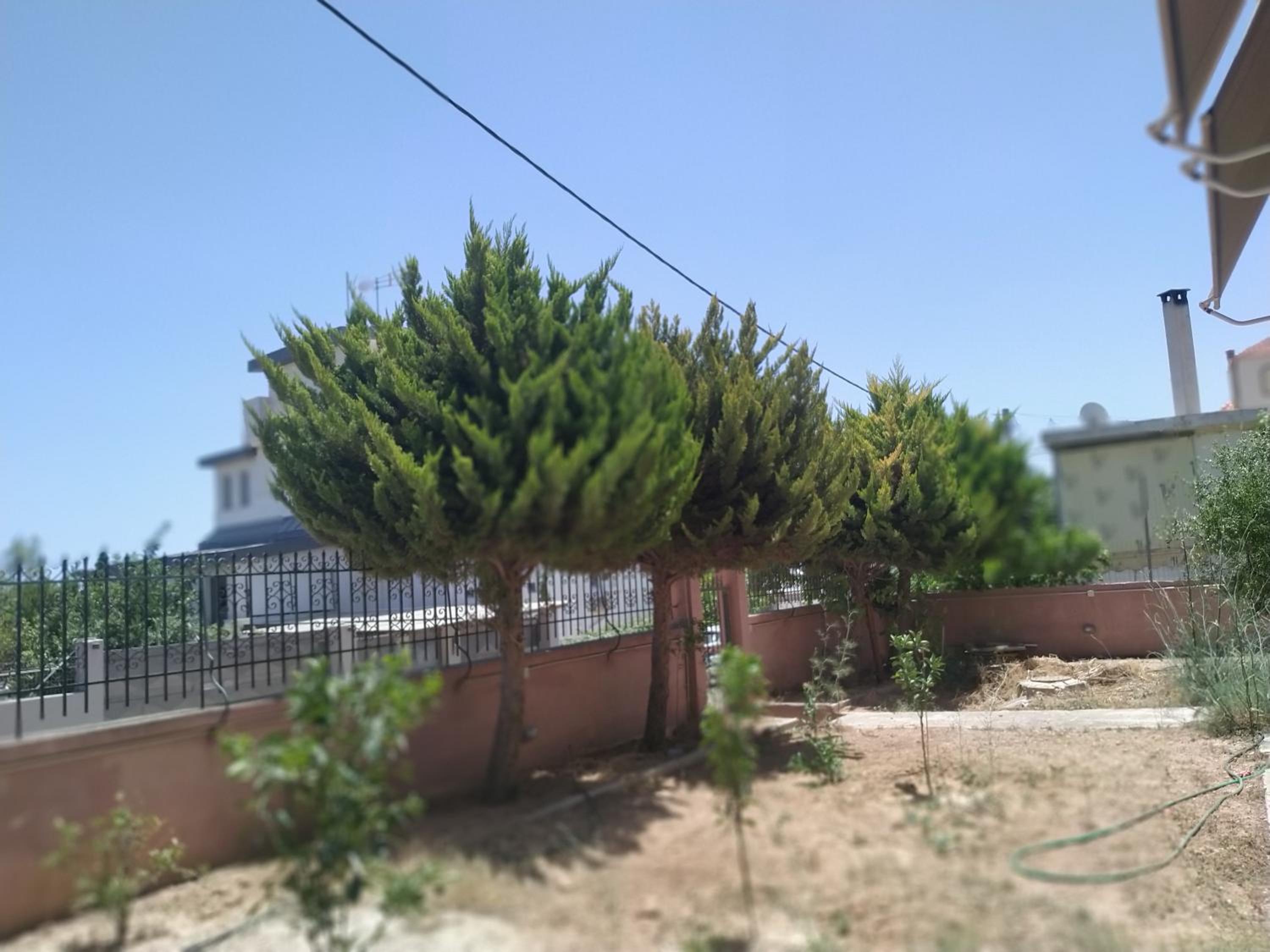 Photo 38