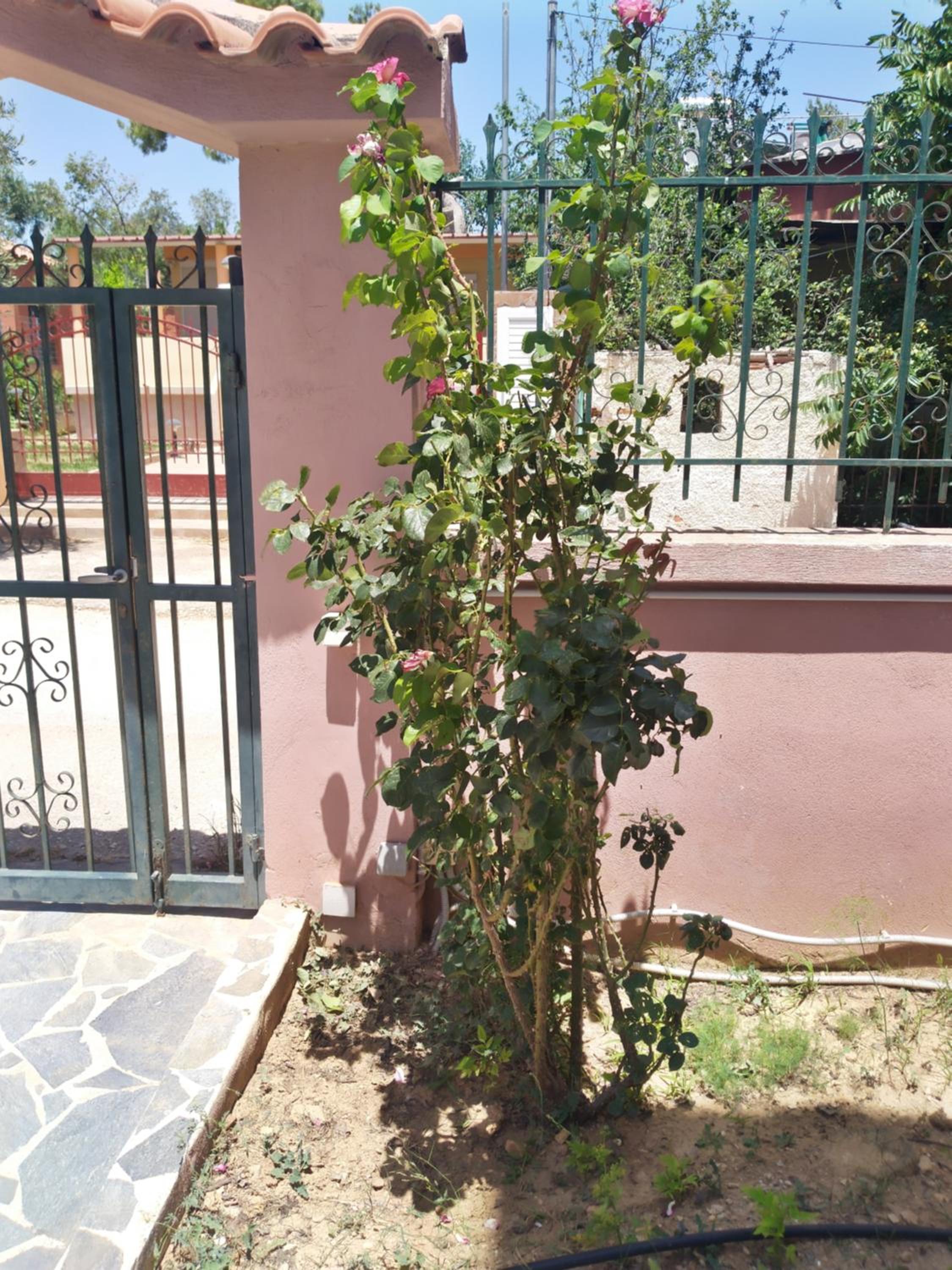 Photo 36