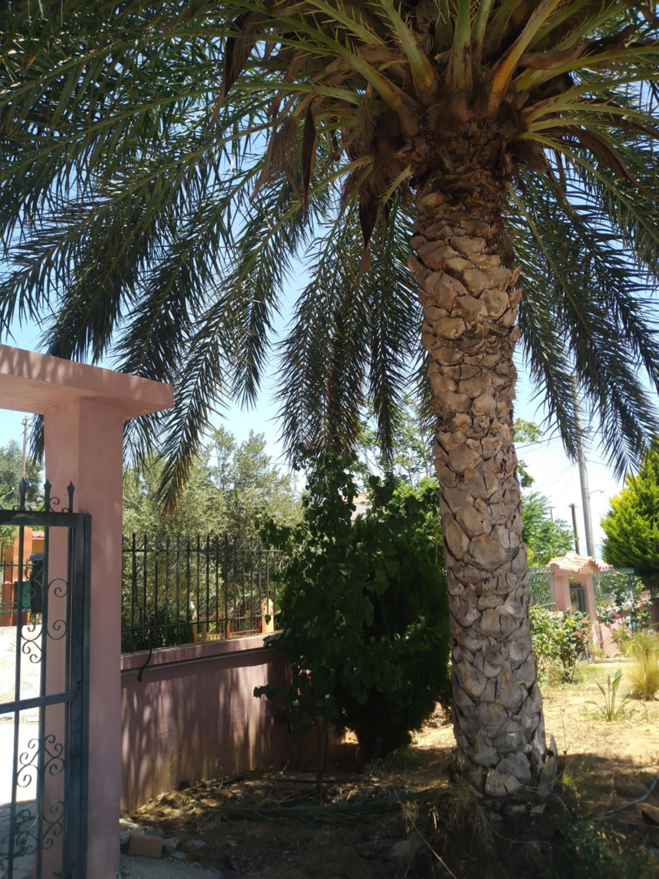 cozy house near the beach view 4