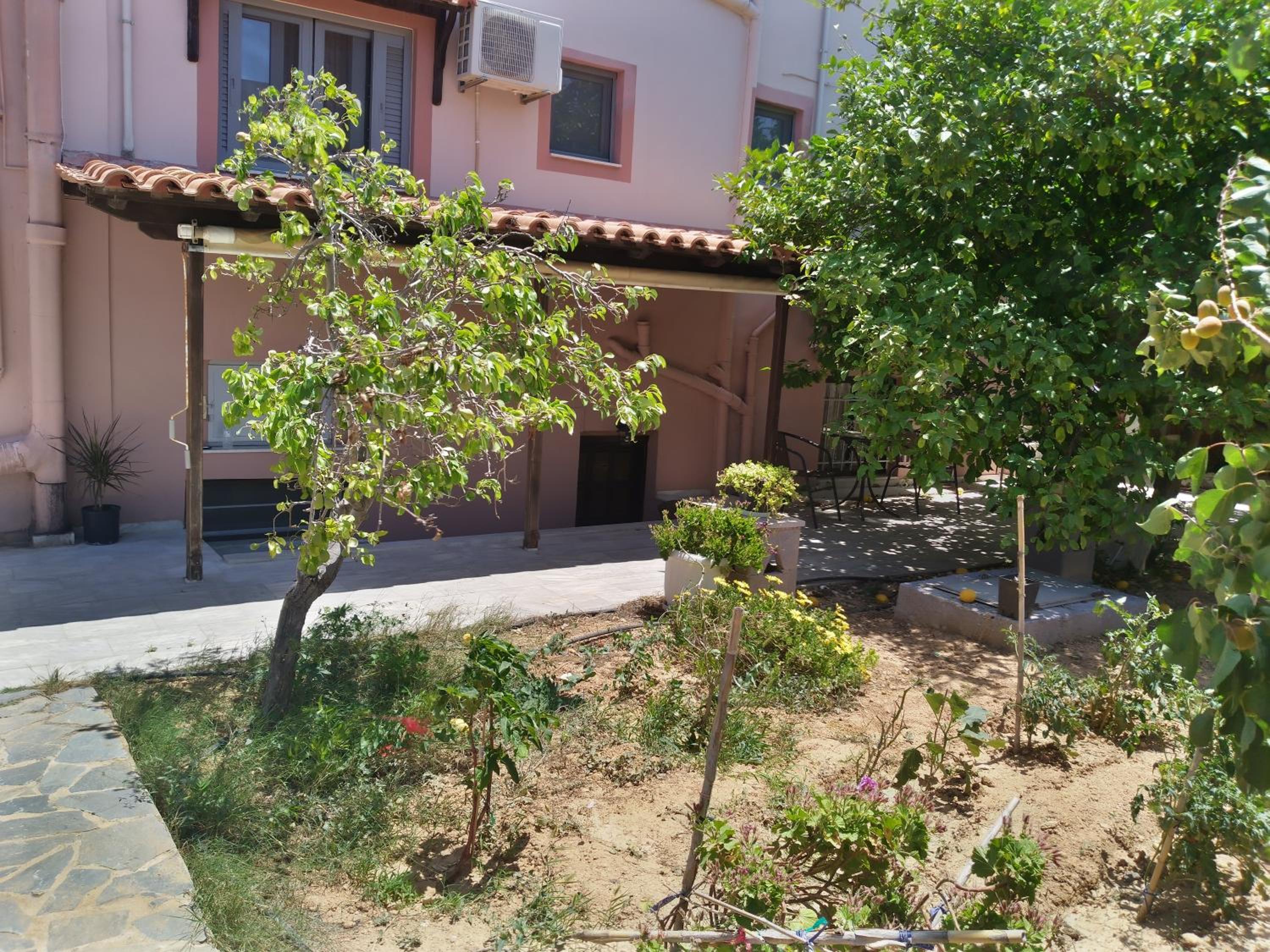 Photo 29