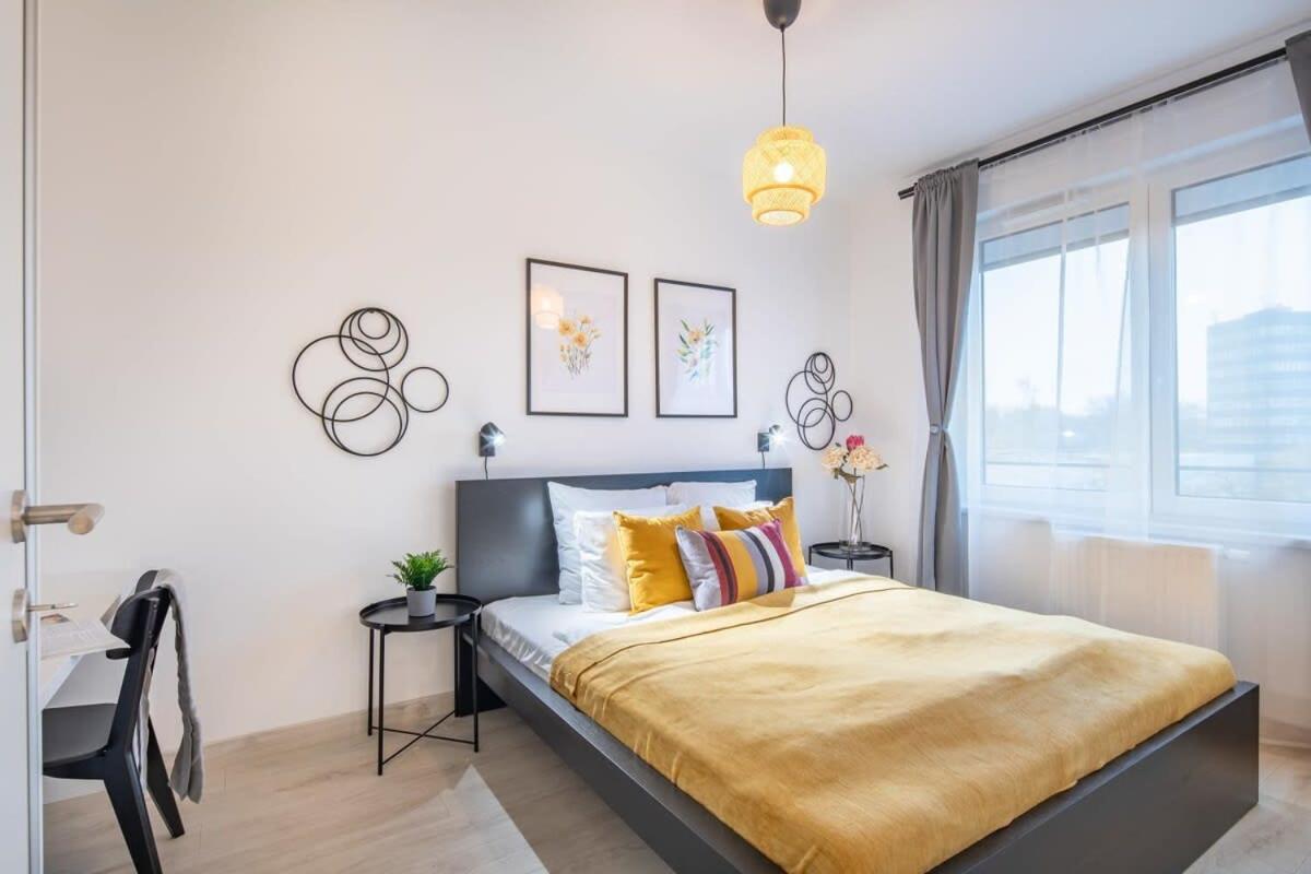 Modern bright central place with terrace