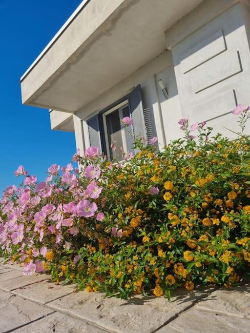 Gramp House Casa Vacanze view 4