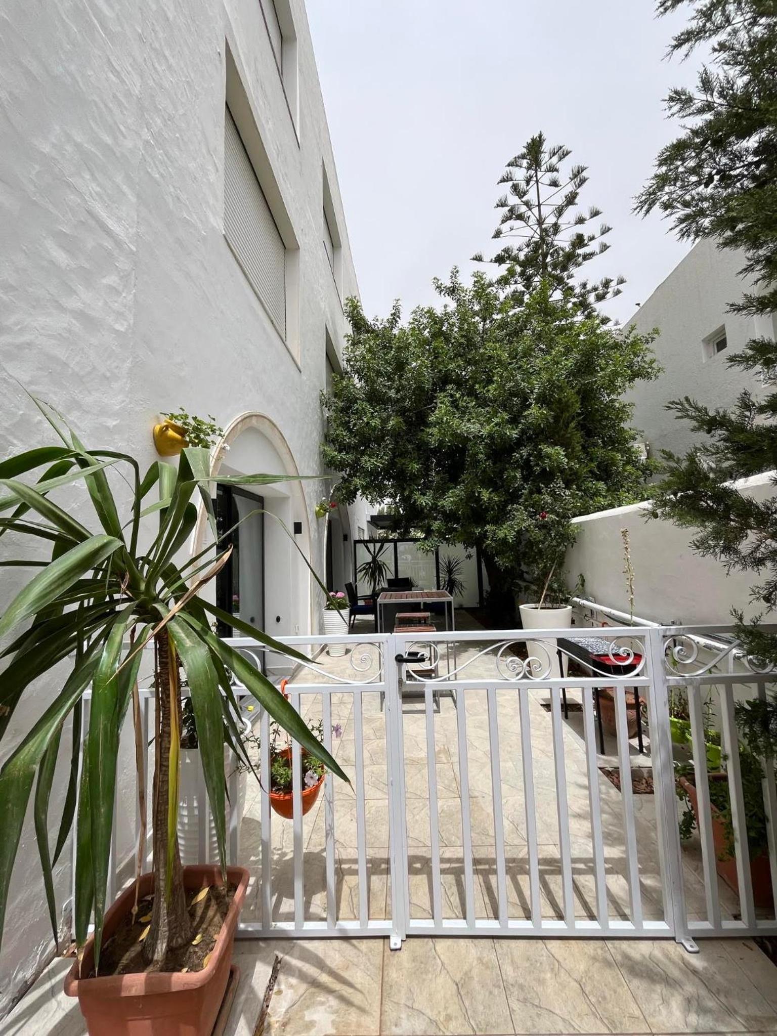 Photo 19