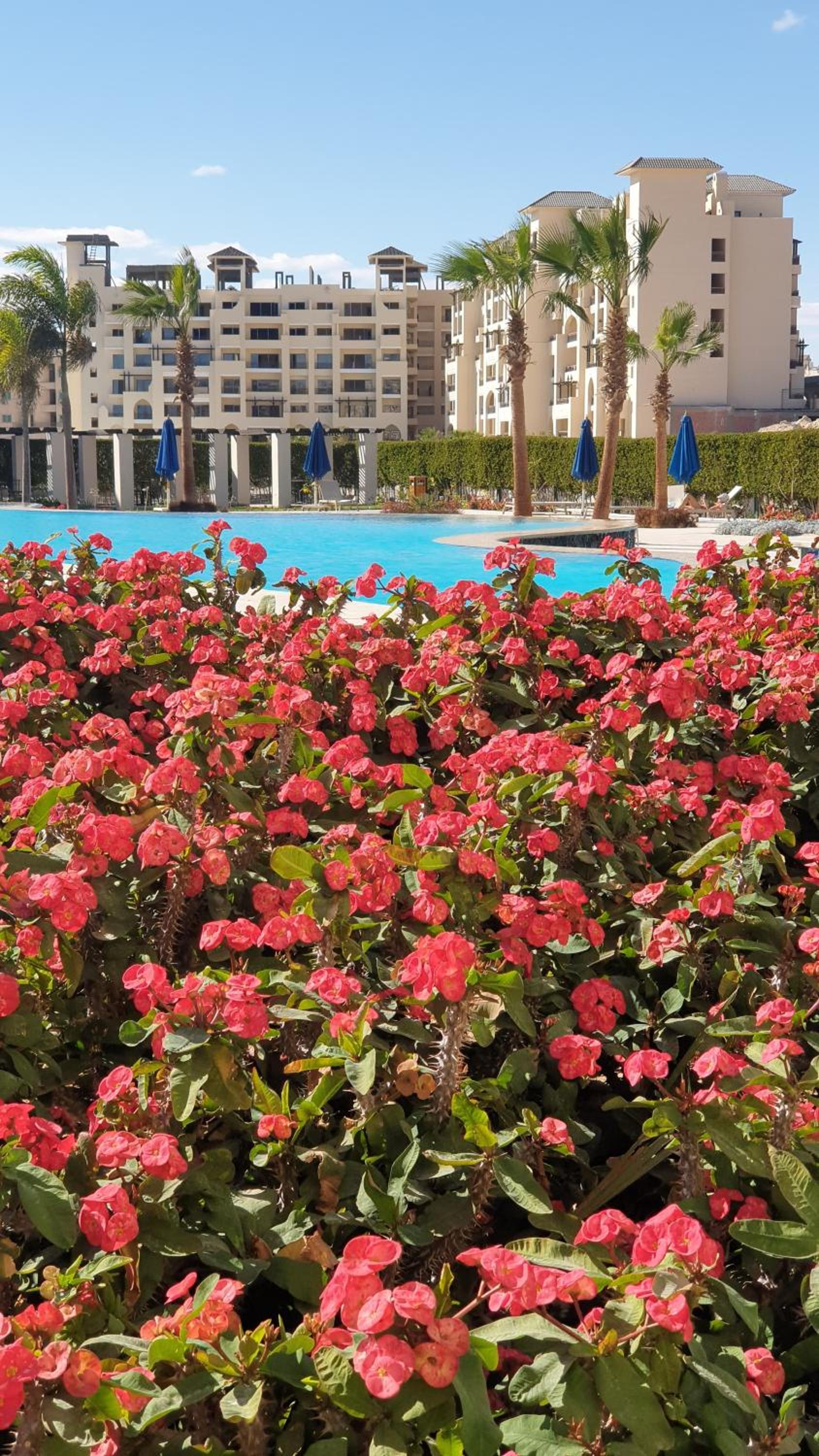 One bed room flat, Al Dau Heights Hurghada view 2