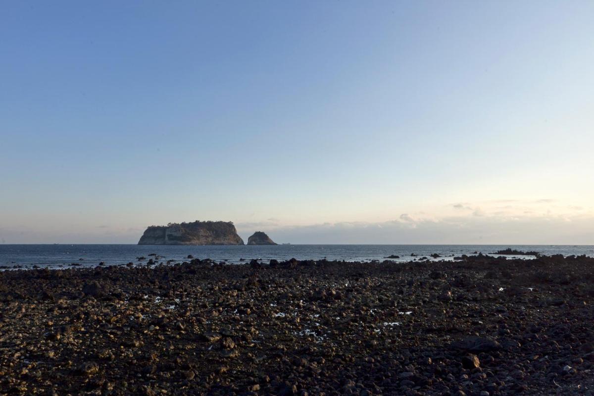 Oceantree House, 서귀포시 - 18