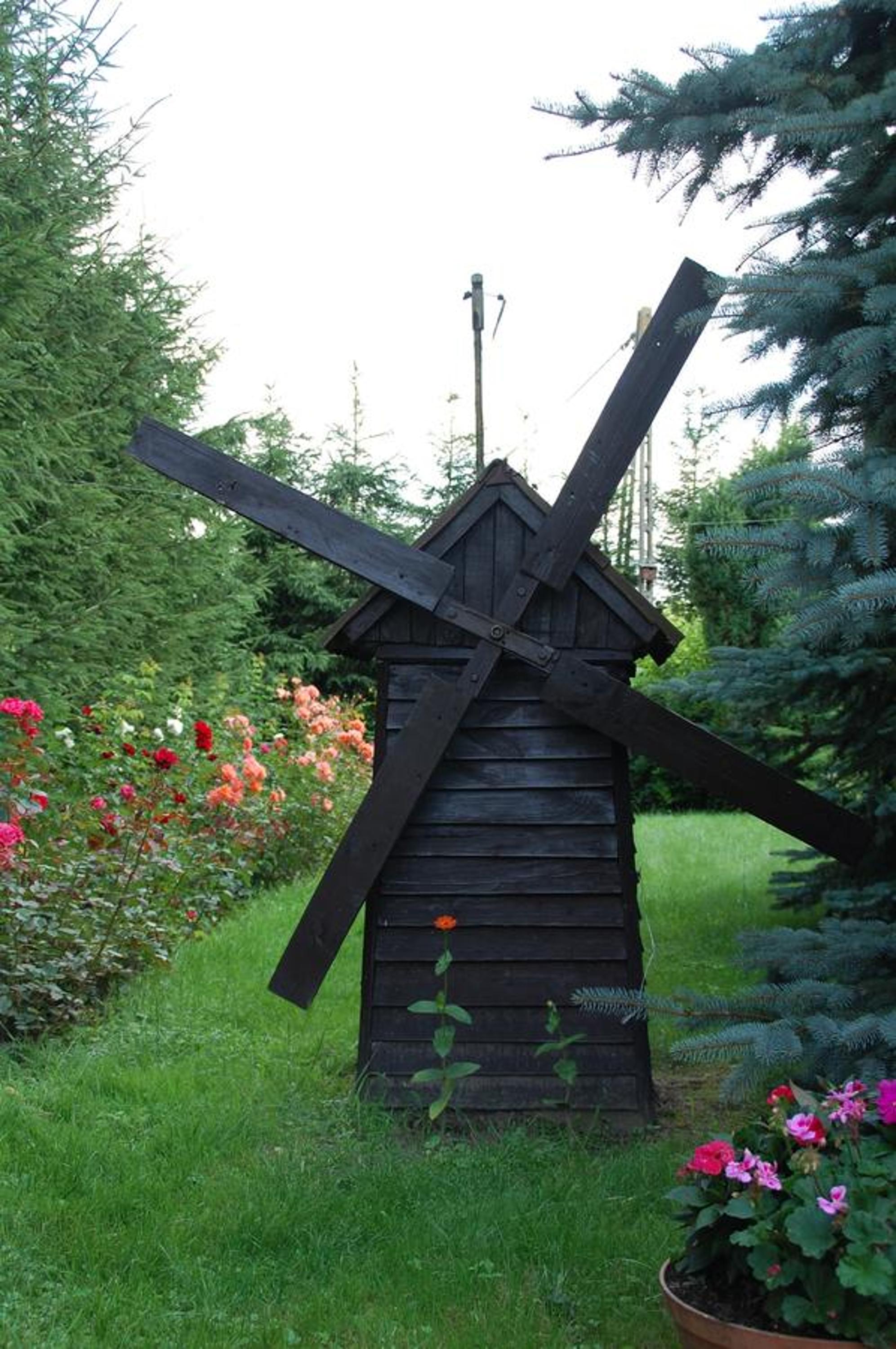Photo 45