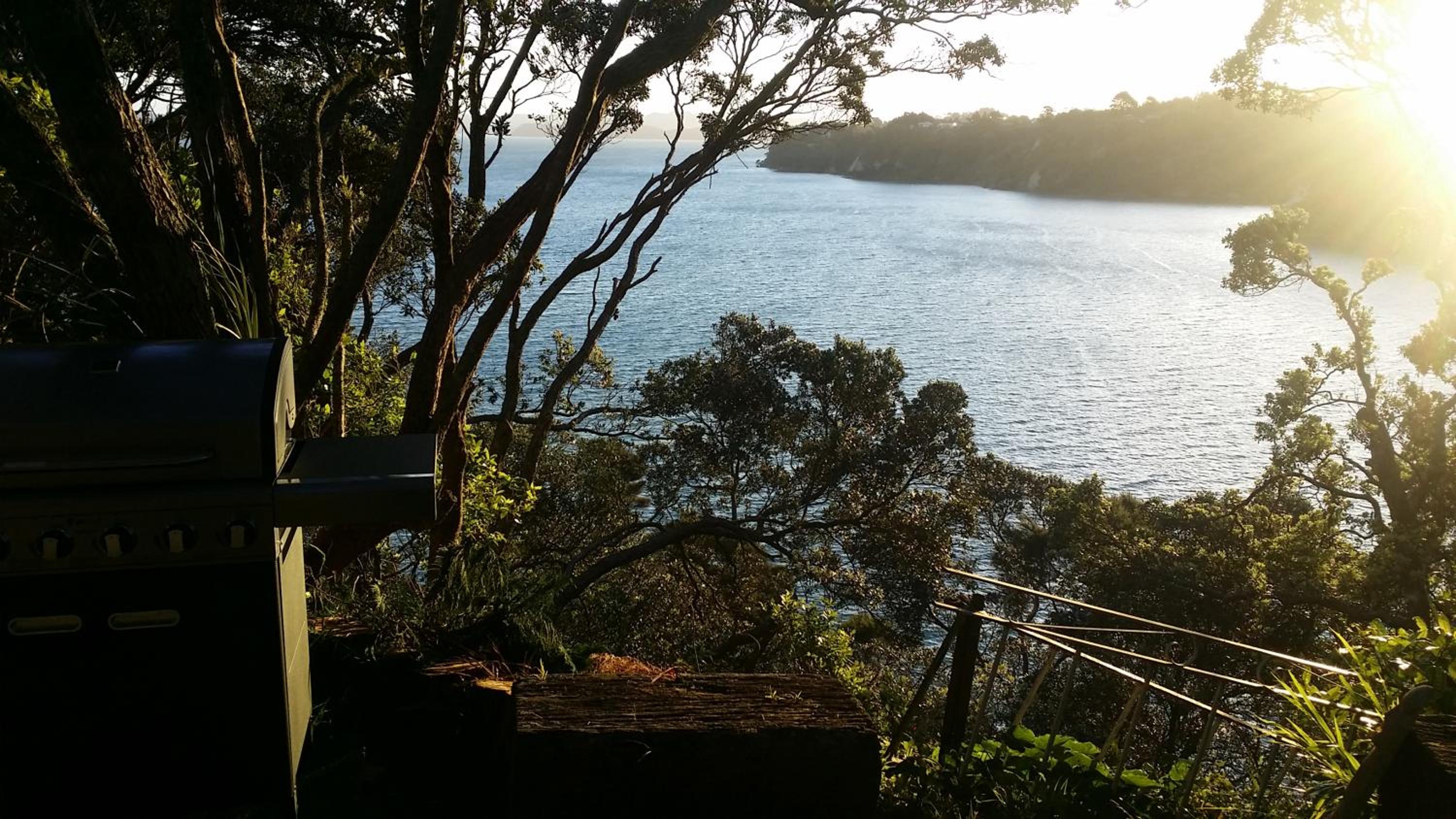 Auckland Clifftop