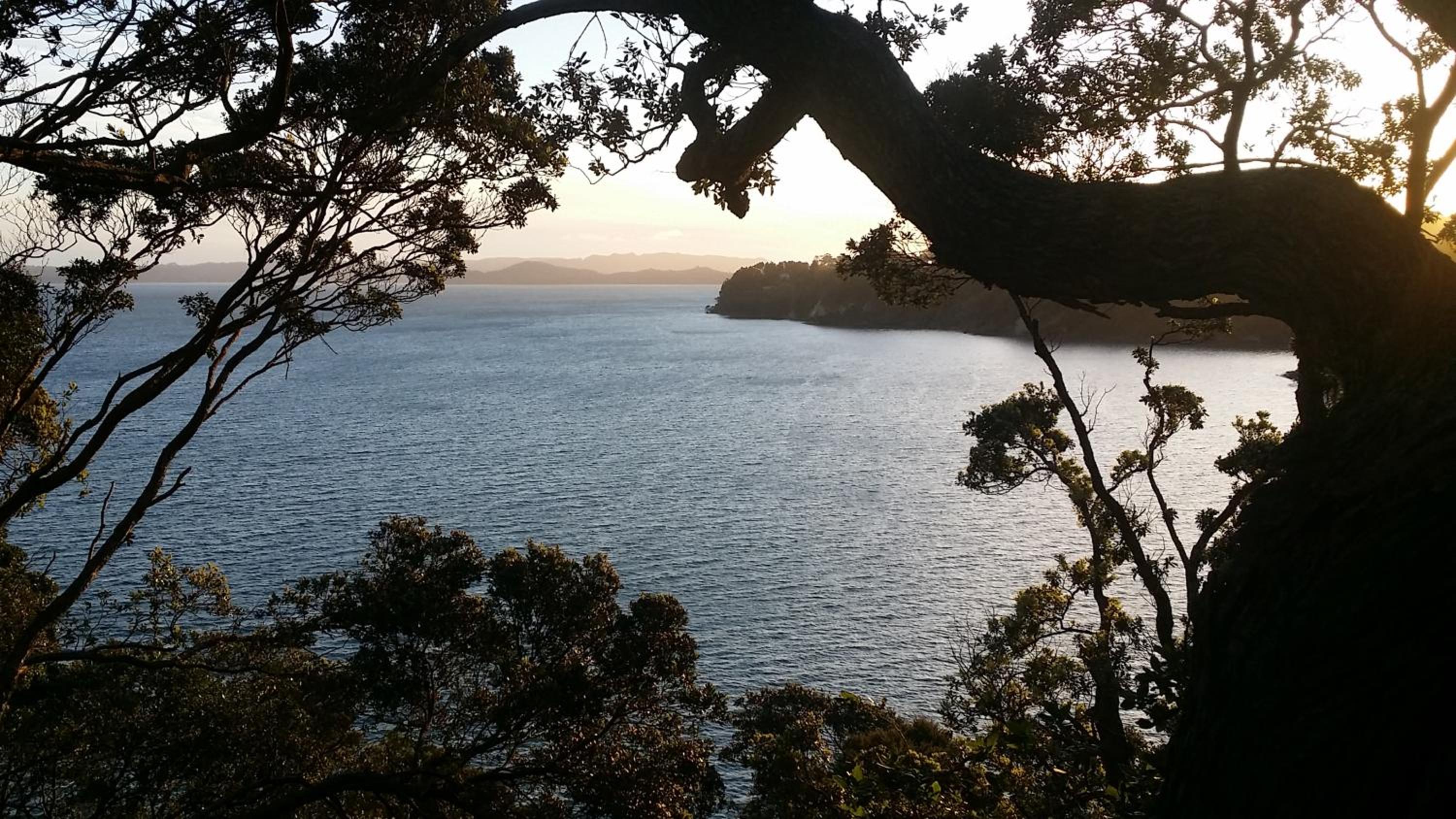 Auckland Clifftop — Auckland