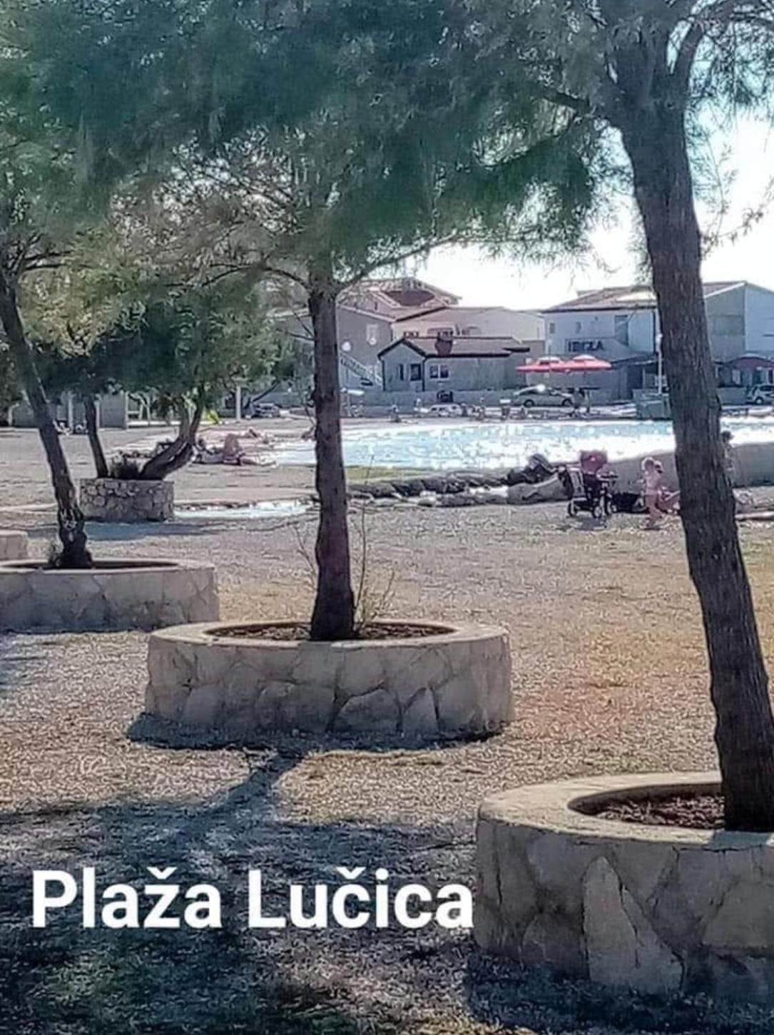 Vila Maria