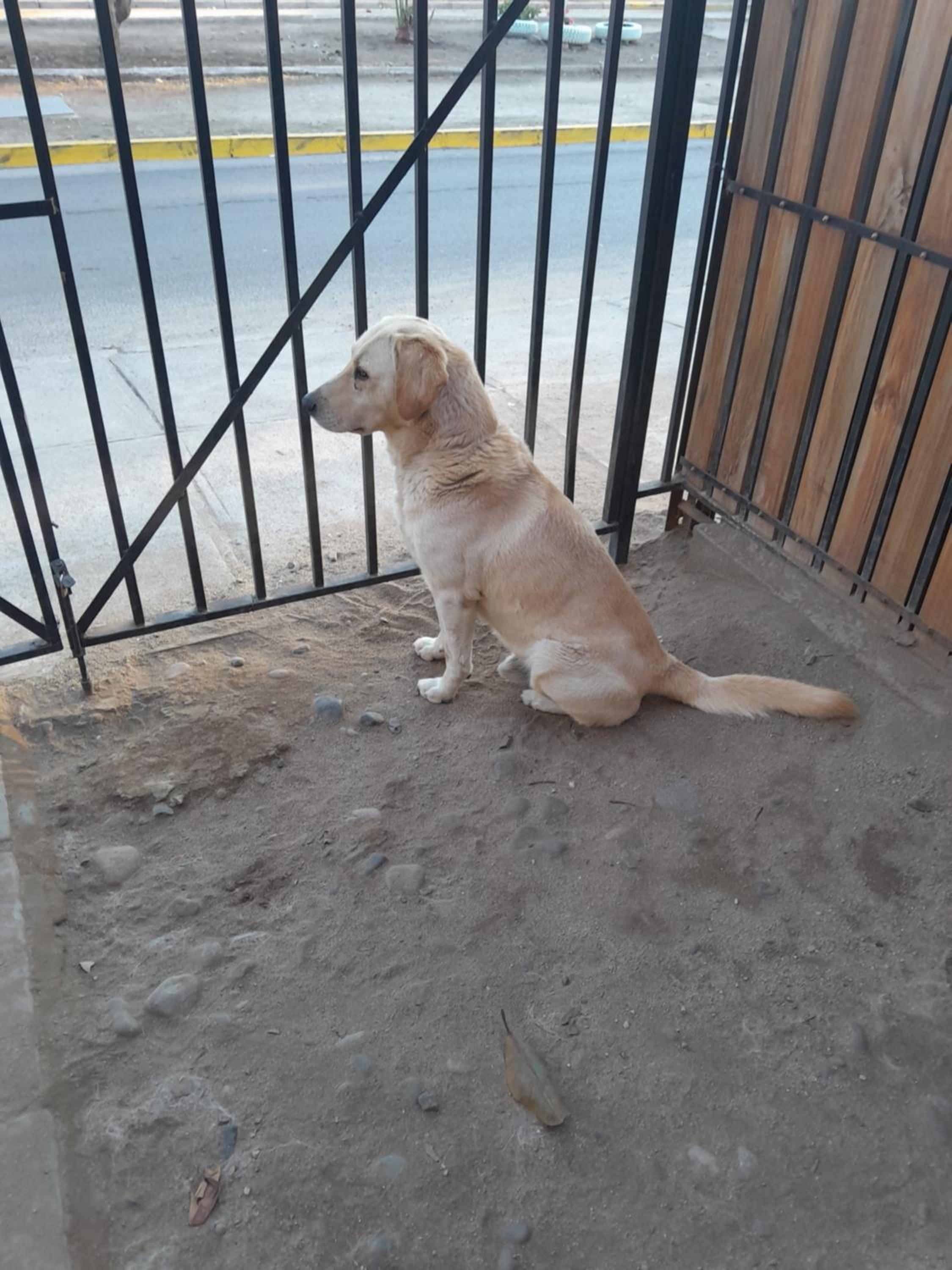 Mi lugar De Encuentro