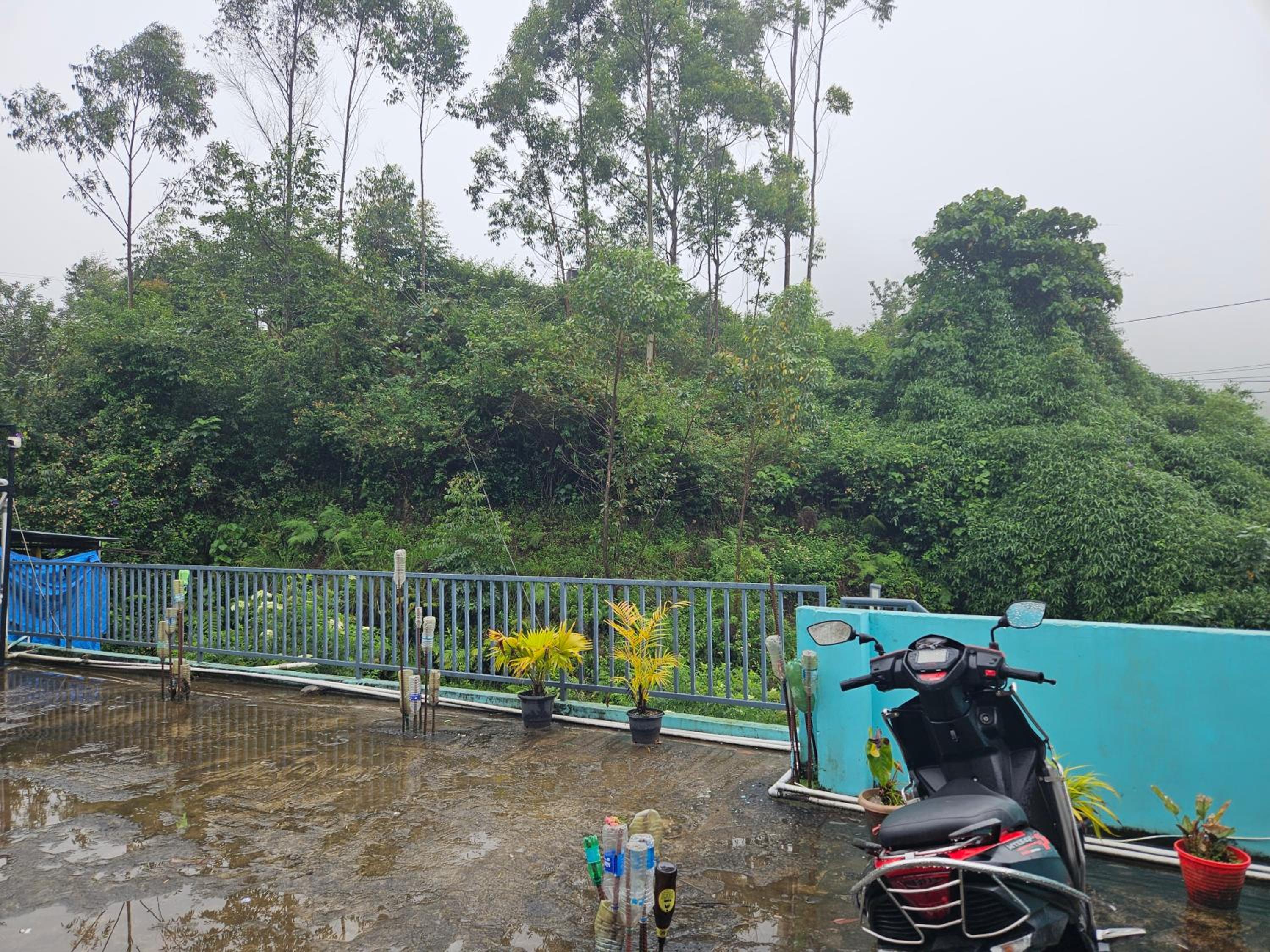 parking