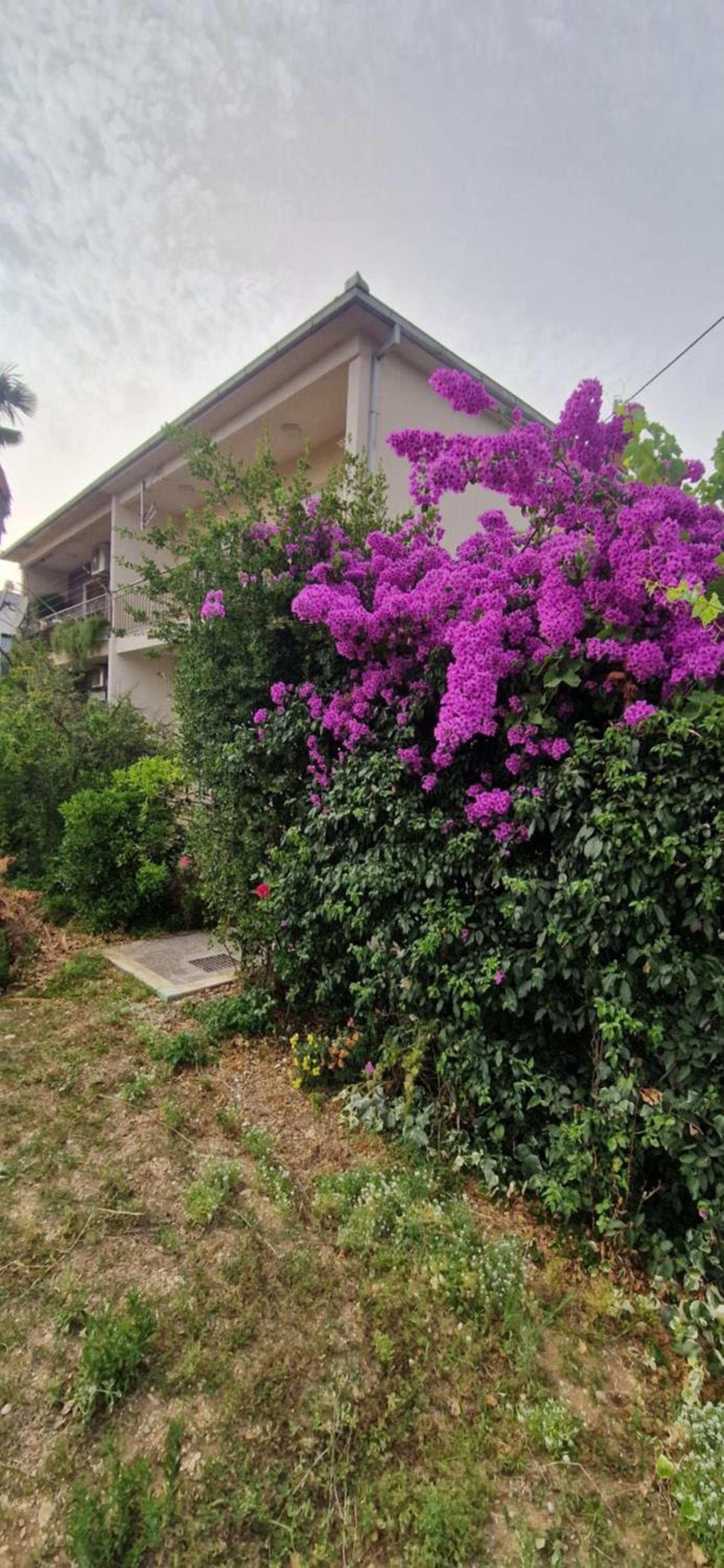 Hotel Villa Croatia Trogir, Center, 4 Rooms, Parking, Jacuzzi, Free Beach And Pool 15 Min