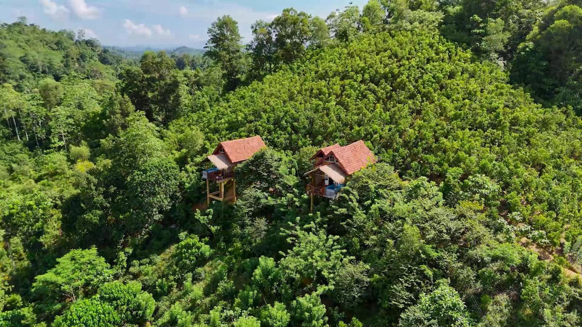 Dins Nature Villa view 4
