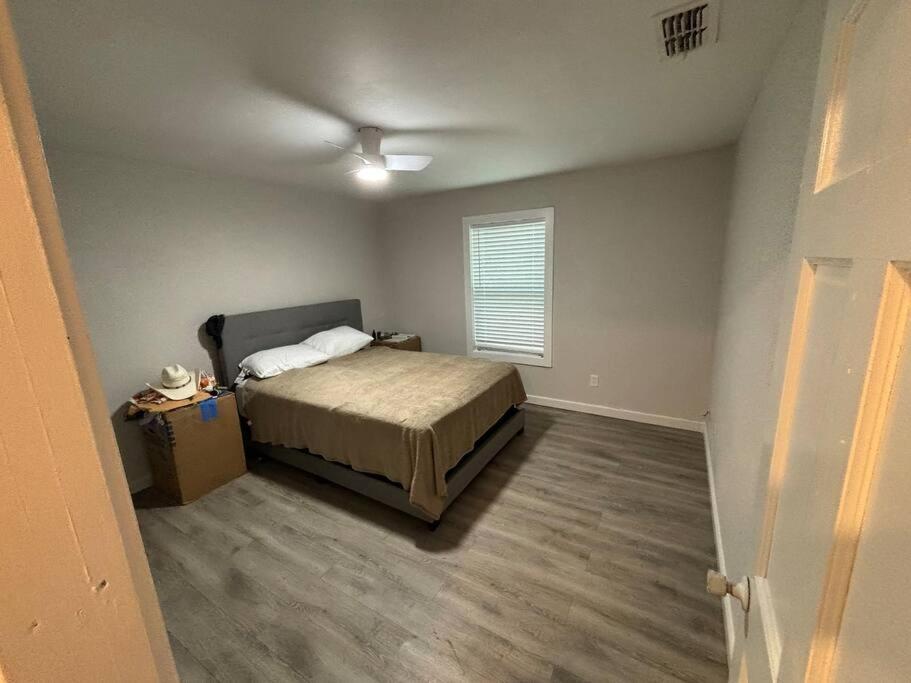 Cozy Sapphire view 5