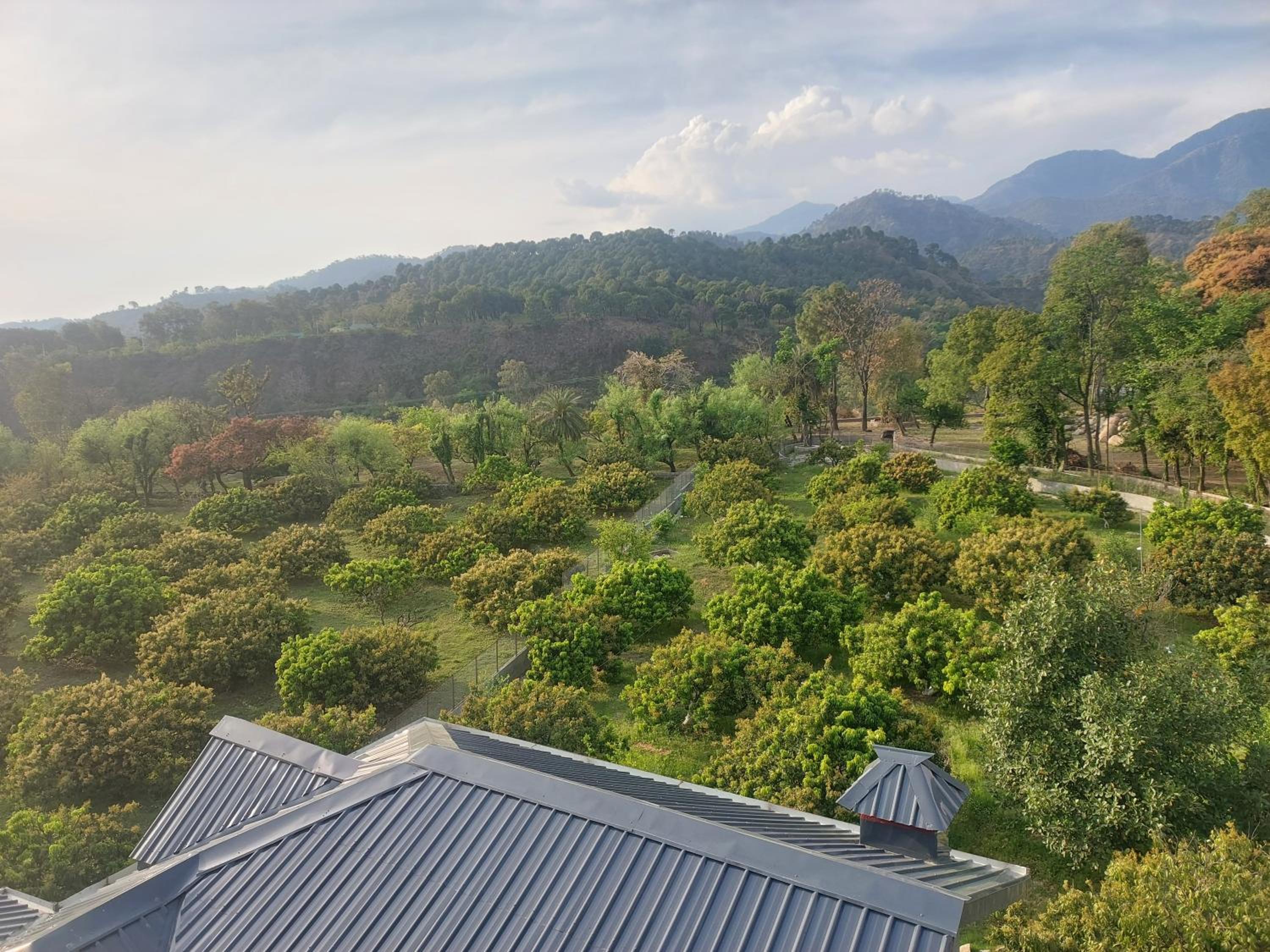 S R Homestay view 3