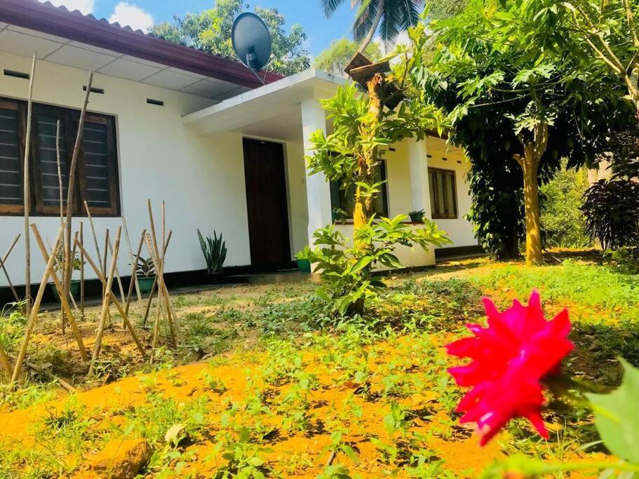 Streamside Sanctuary - Home Stay