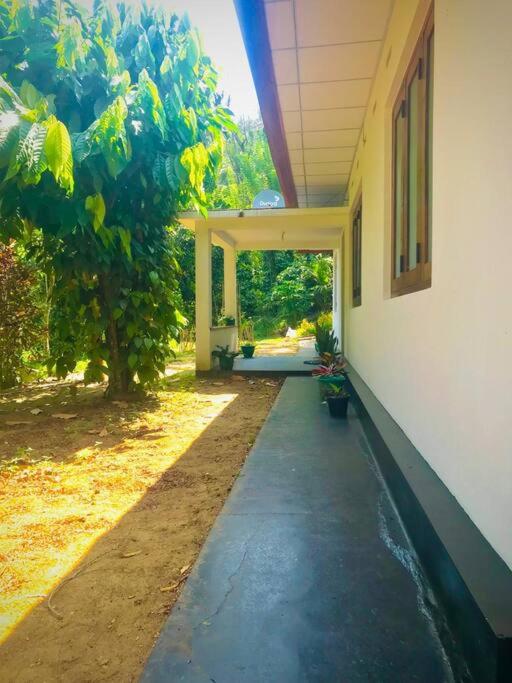 Streamside Sanctuary - Home Stay