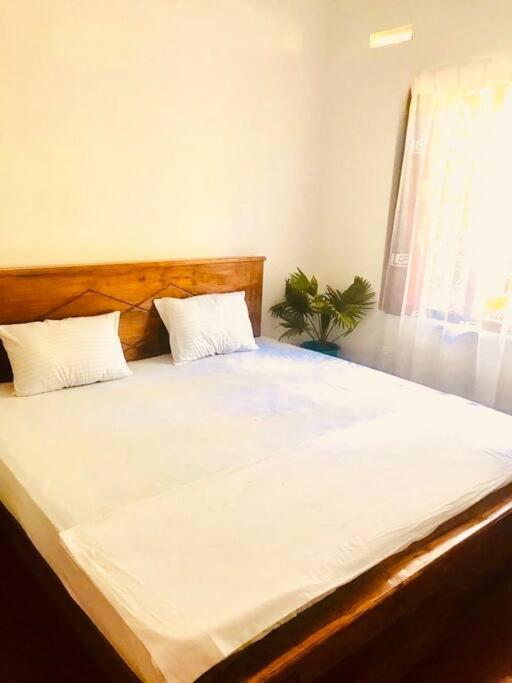 Streamside Sanctuary - Home Stay