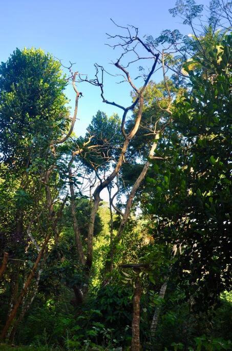 Streamside Sanctuary - Home Stay
