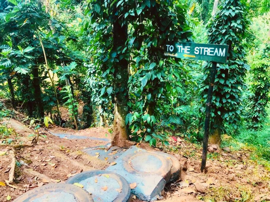 Streamside Sanctuary - Home Stay