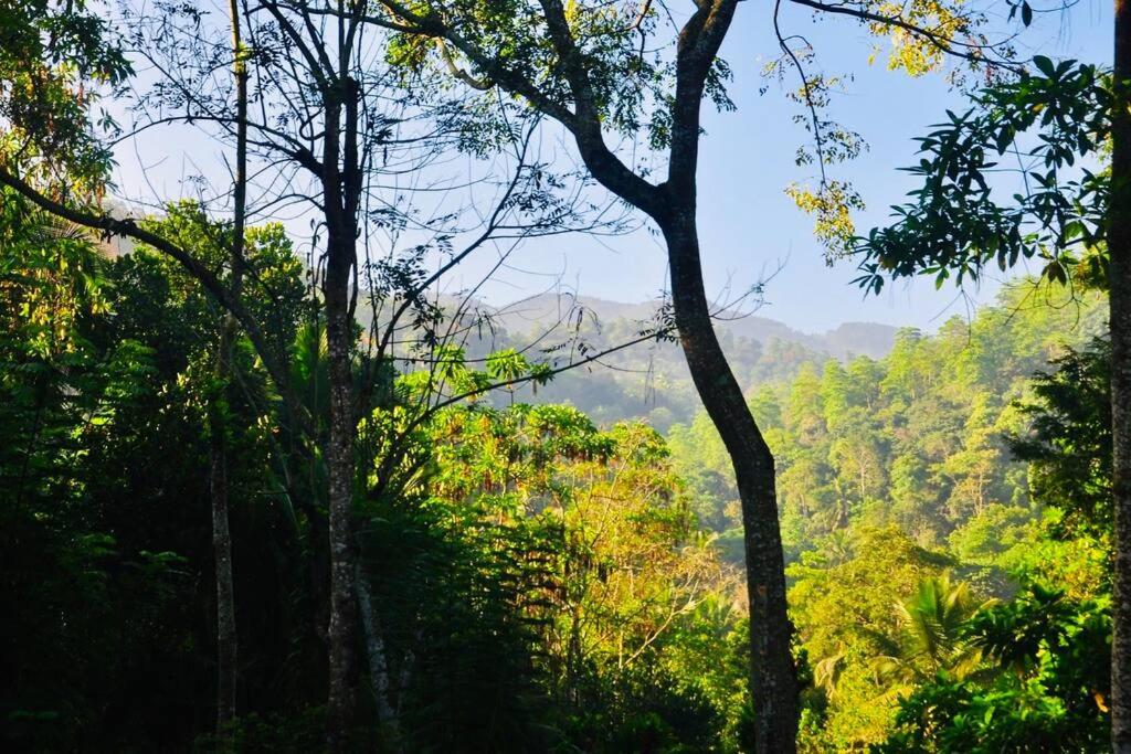 Streamside Sanctuary - Home Stay