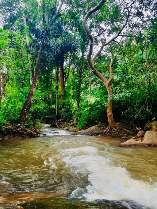 Streamside Sanctuary - Home Stay