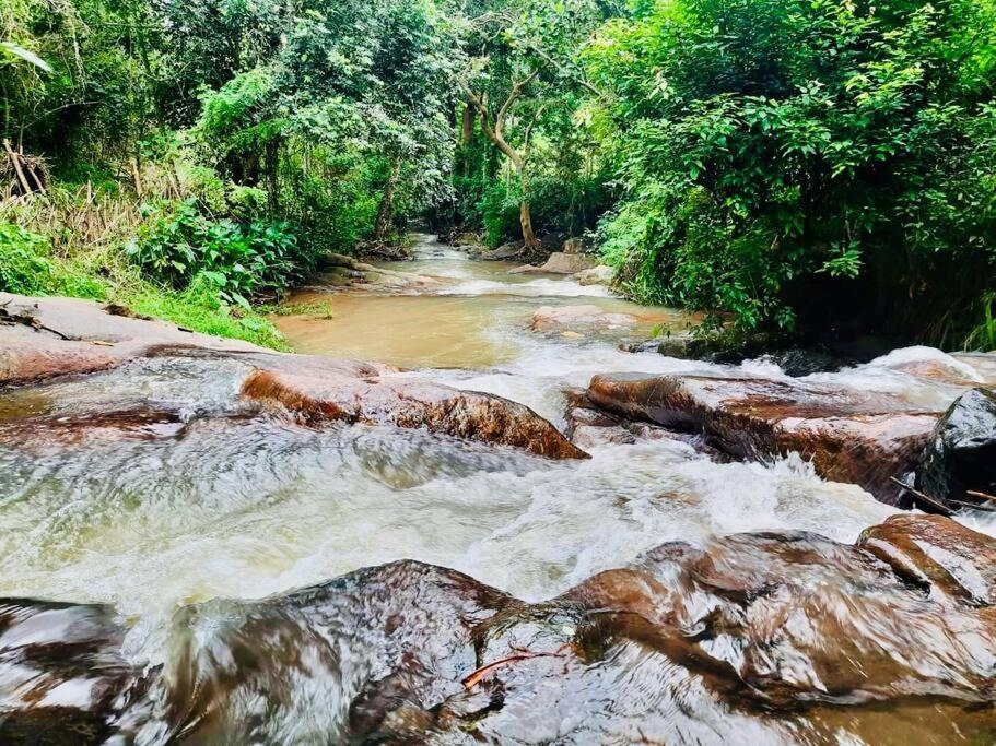 Streamside Sanctuary - Home Stay
