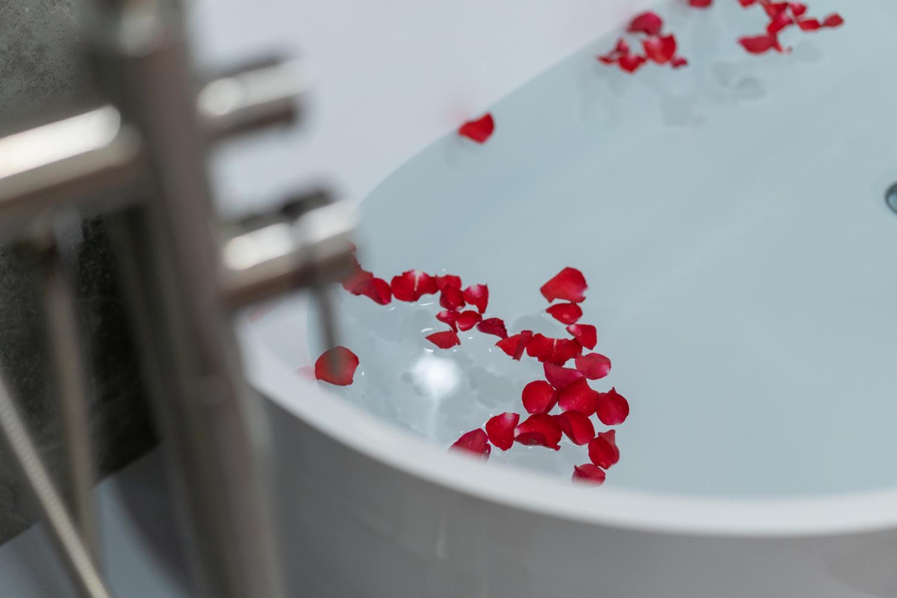 Harmony Home-Projector-Bathtub- Spacious