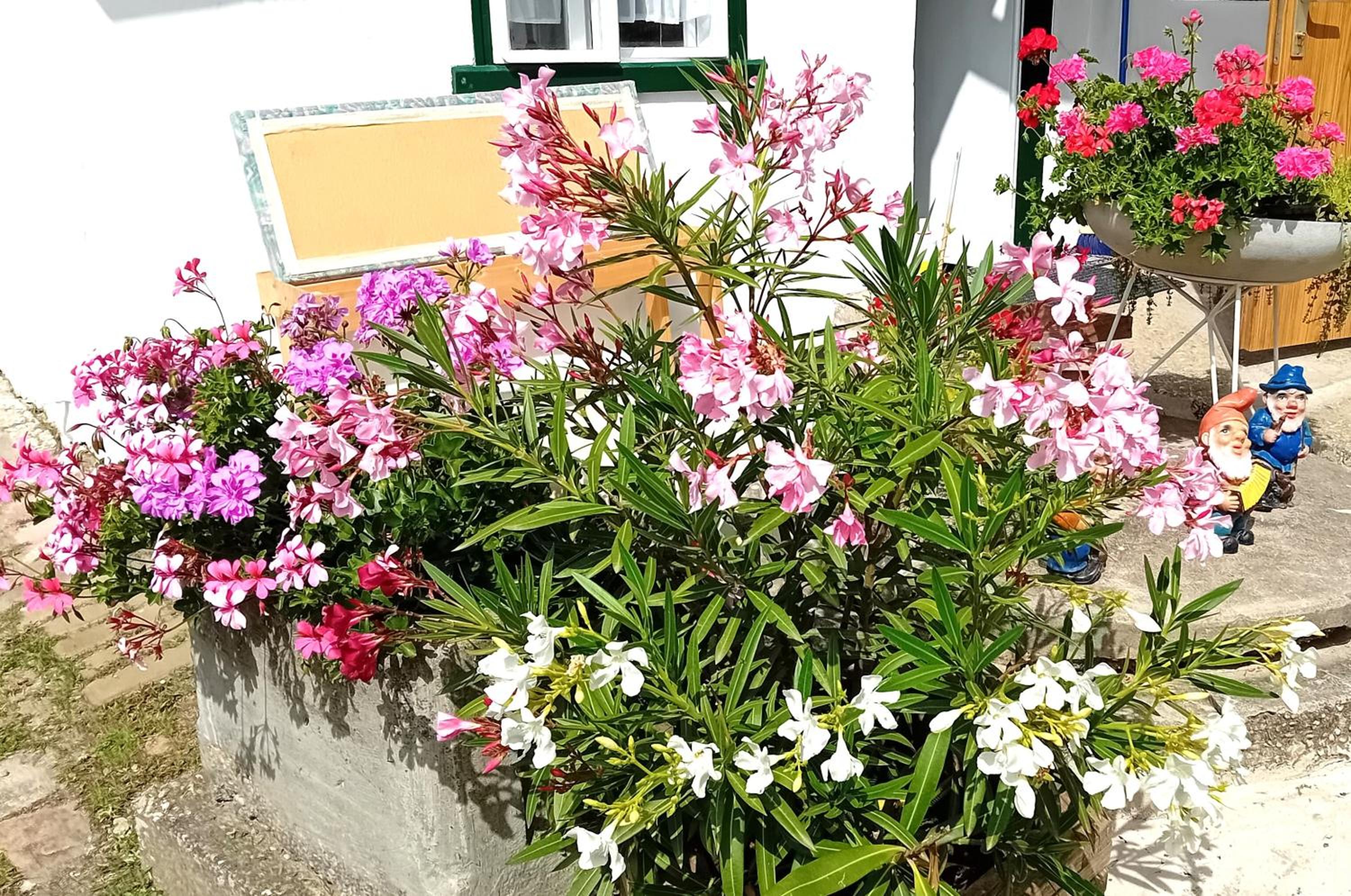 Ferienhaus Anna
