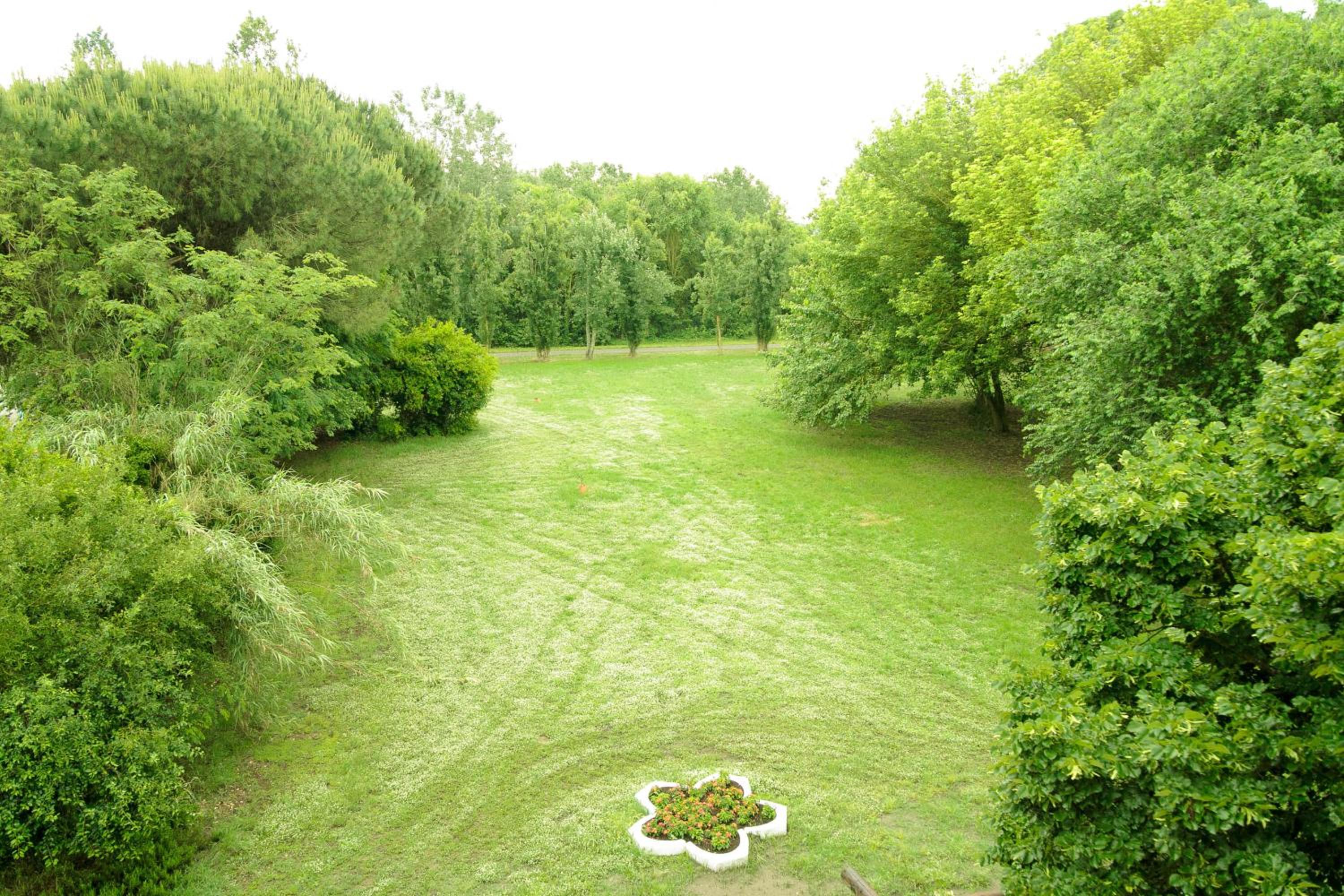 Photo 48