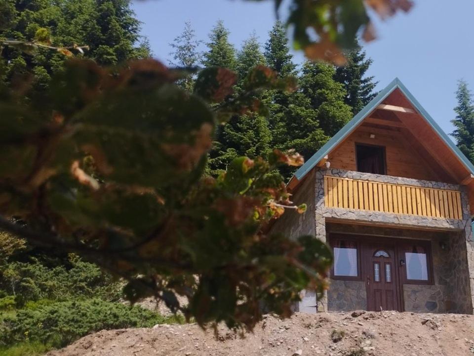 Mountain apartment-Komovi