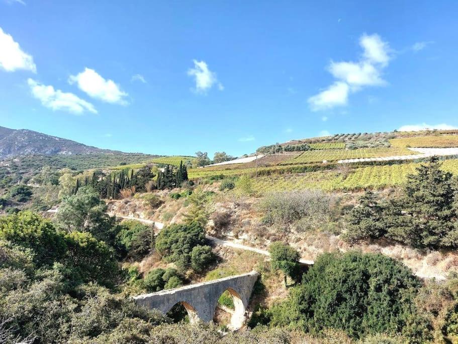 Knossos metoxi